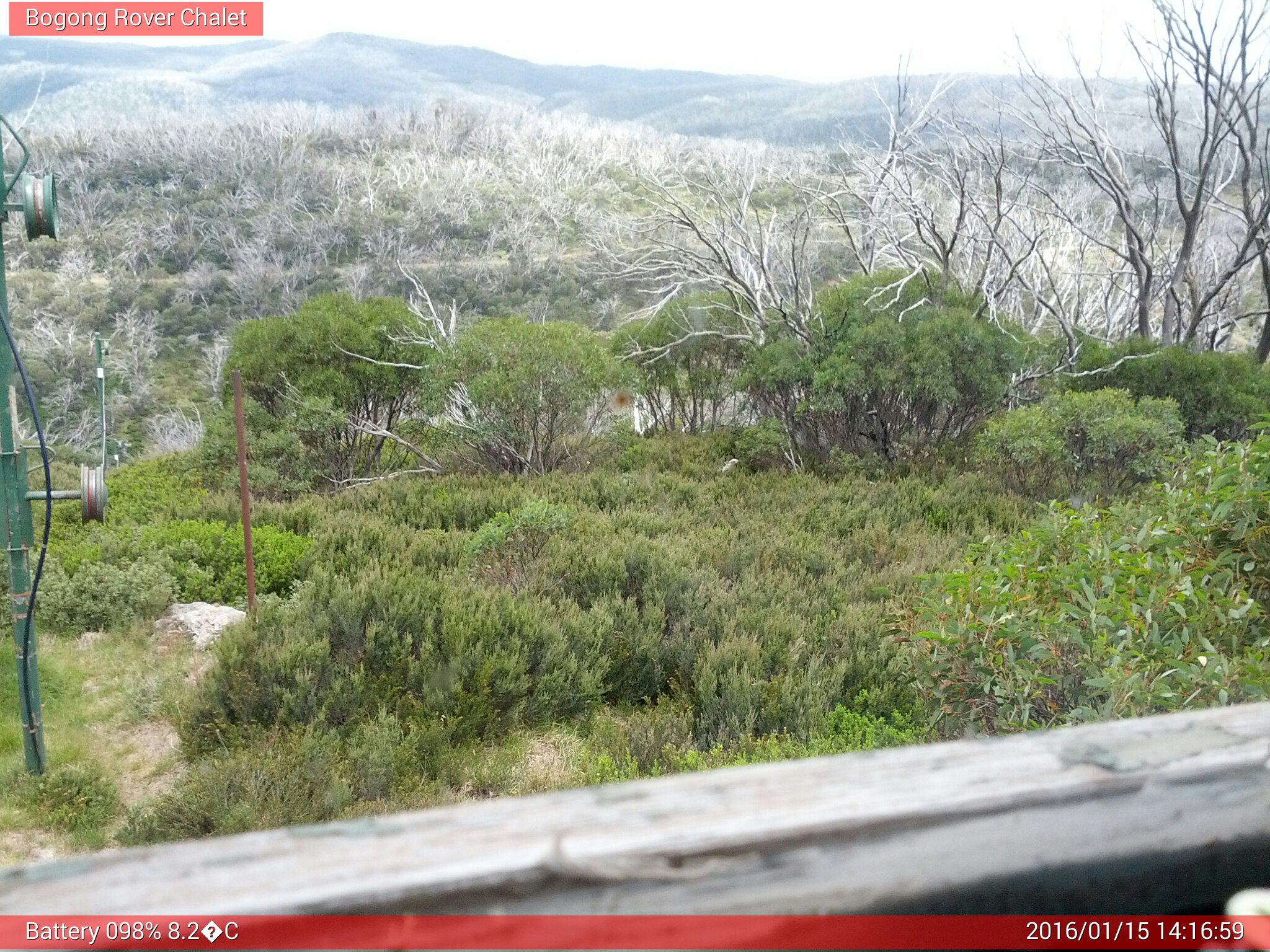 Bogong Web Cam 2:16pm Friday 15th of January 2016