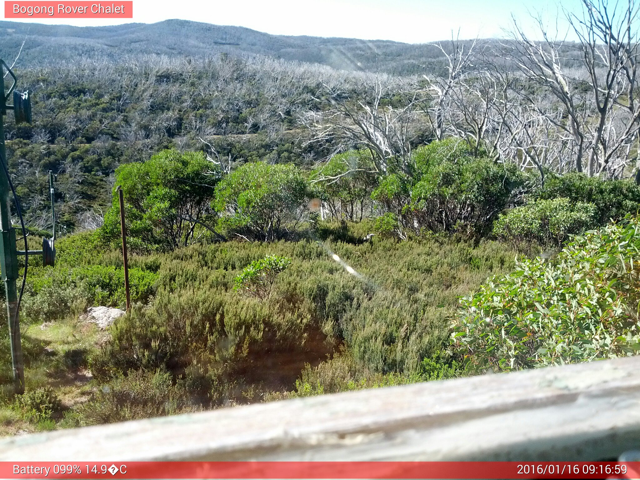 Bogong Web Cam 9:16am Saturday 16th of January 2016