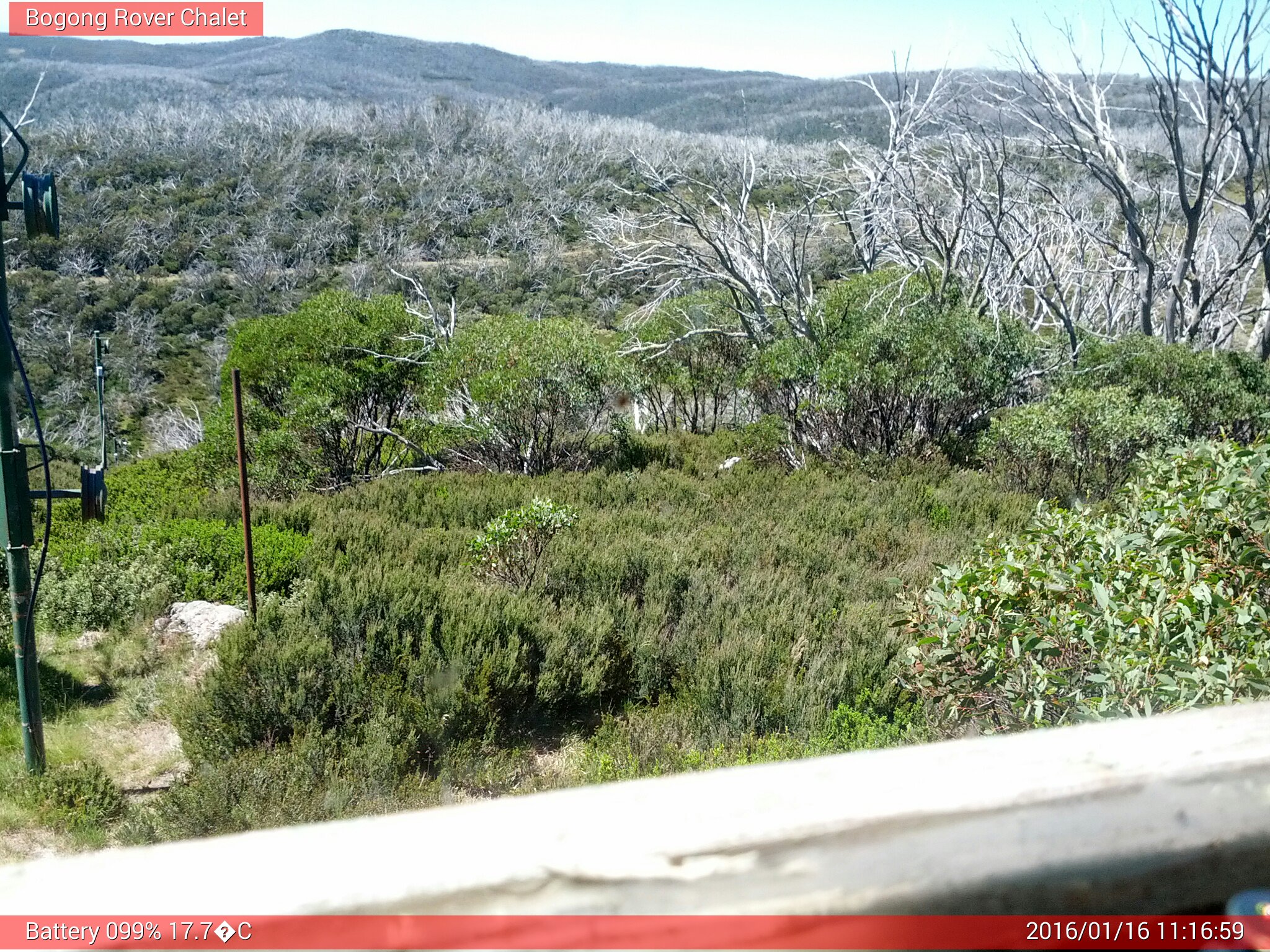 Bogong Web Cam 11:16am Saturday 16th of January 2016