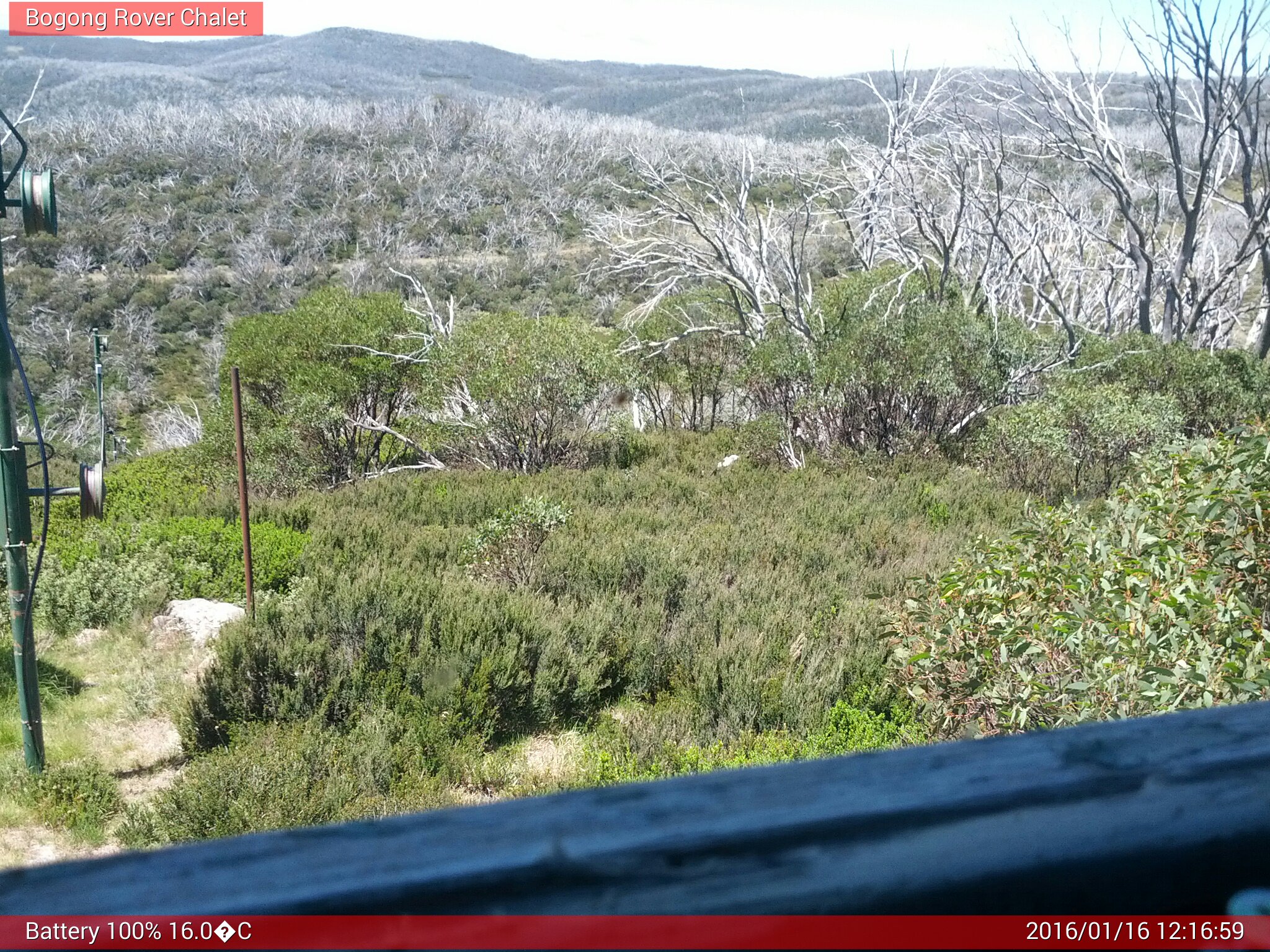 Bogong Web Cam 12:16pm Saturday 16th of January 2016