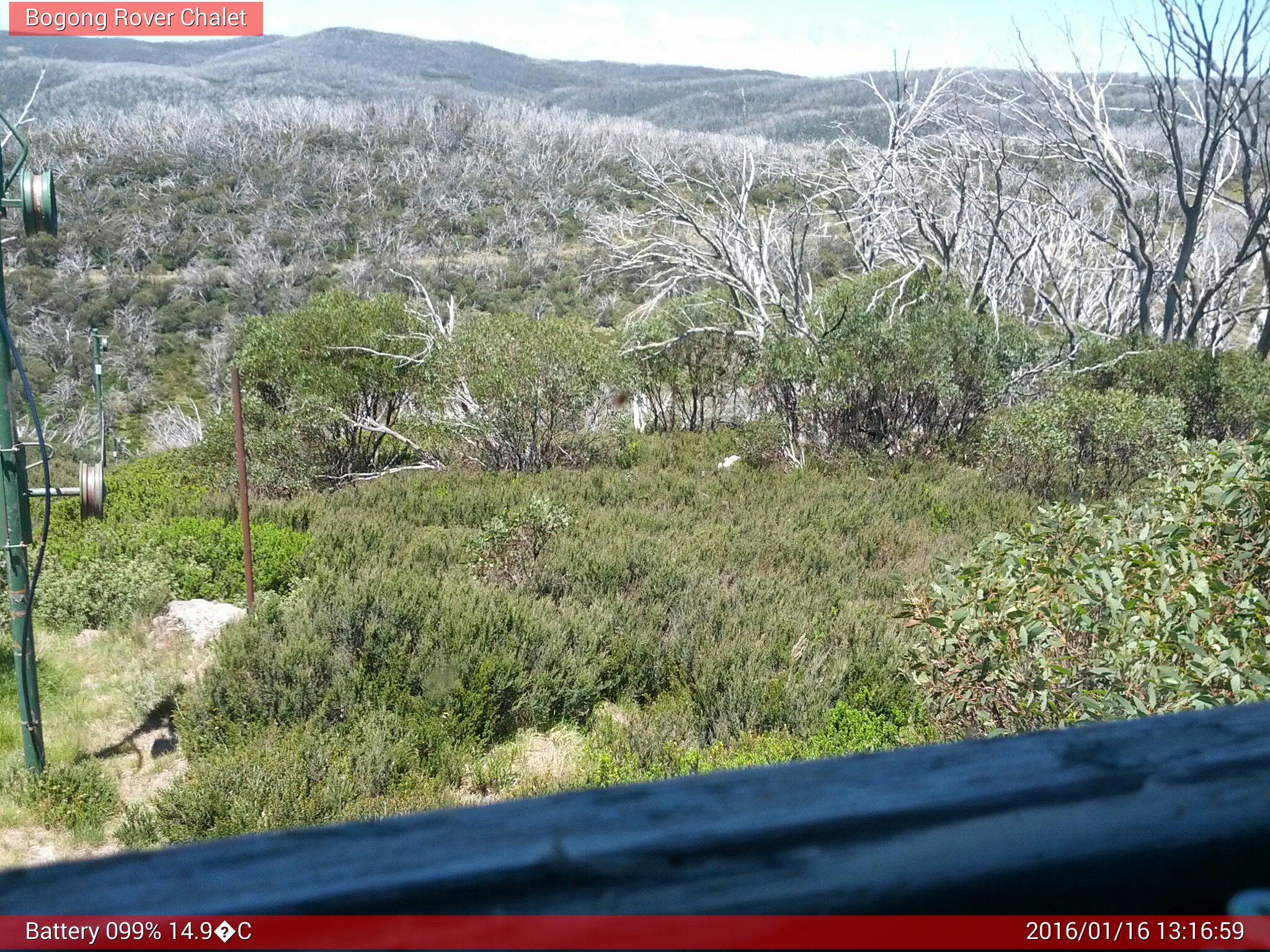 Bogong Web Cam 1:16pm Saturday 16th of January 2016