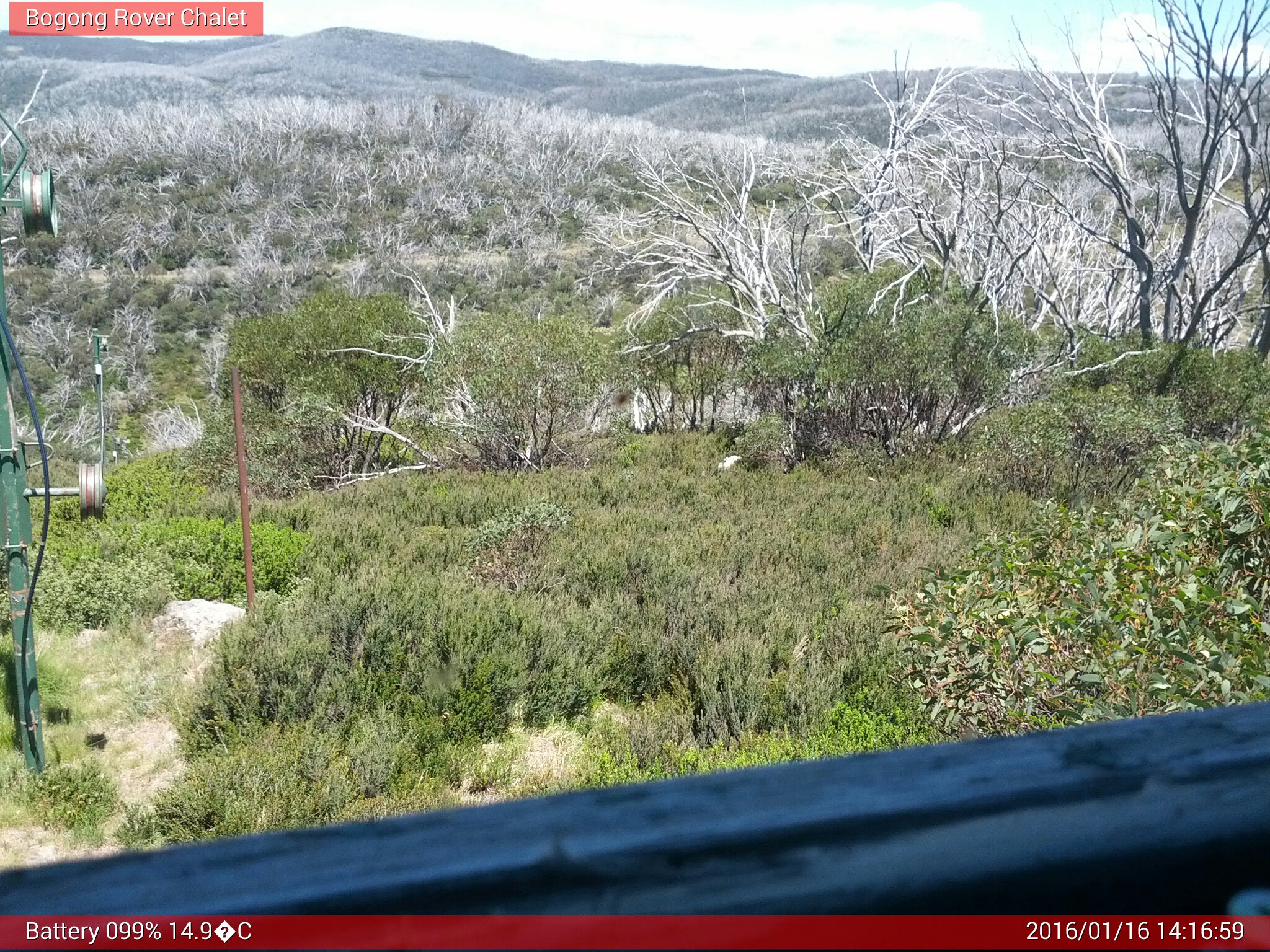 Bogong Web Cam 2:16pm Saturday 16th of January 2016