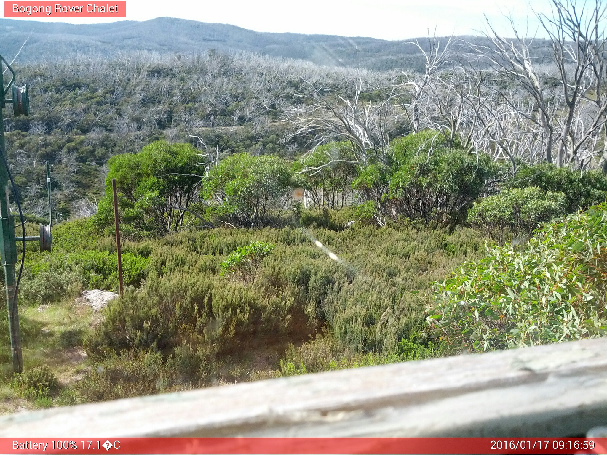 Bogong Web Cam 9:16am Sunday 17th of January 2016