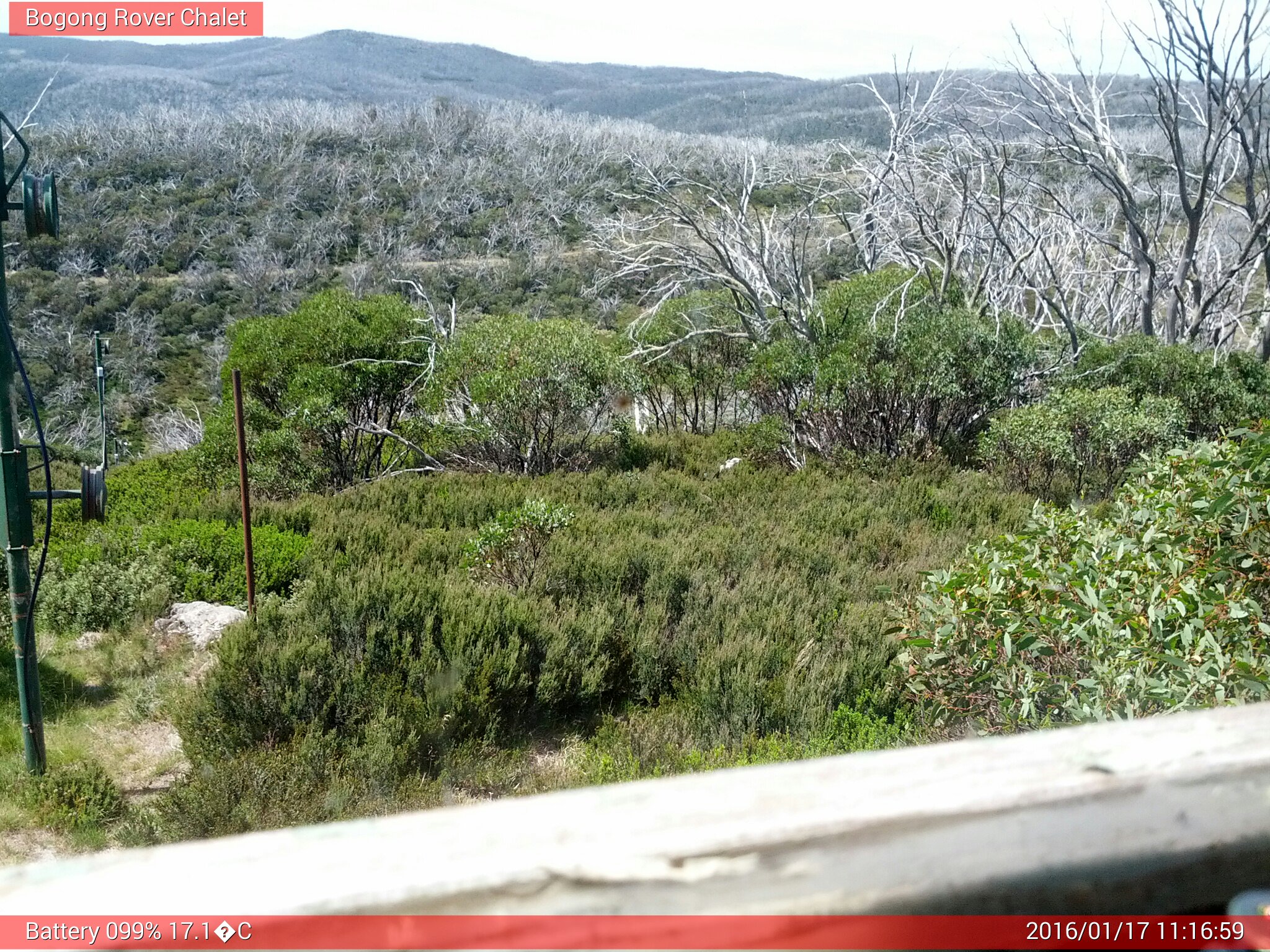 Bogong Web Cam 11:16am Sunday 17th of January 2016