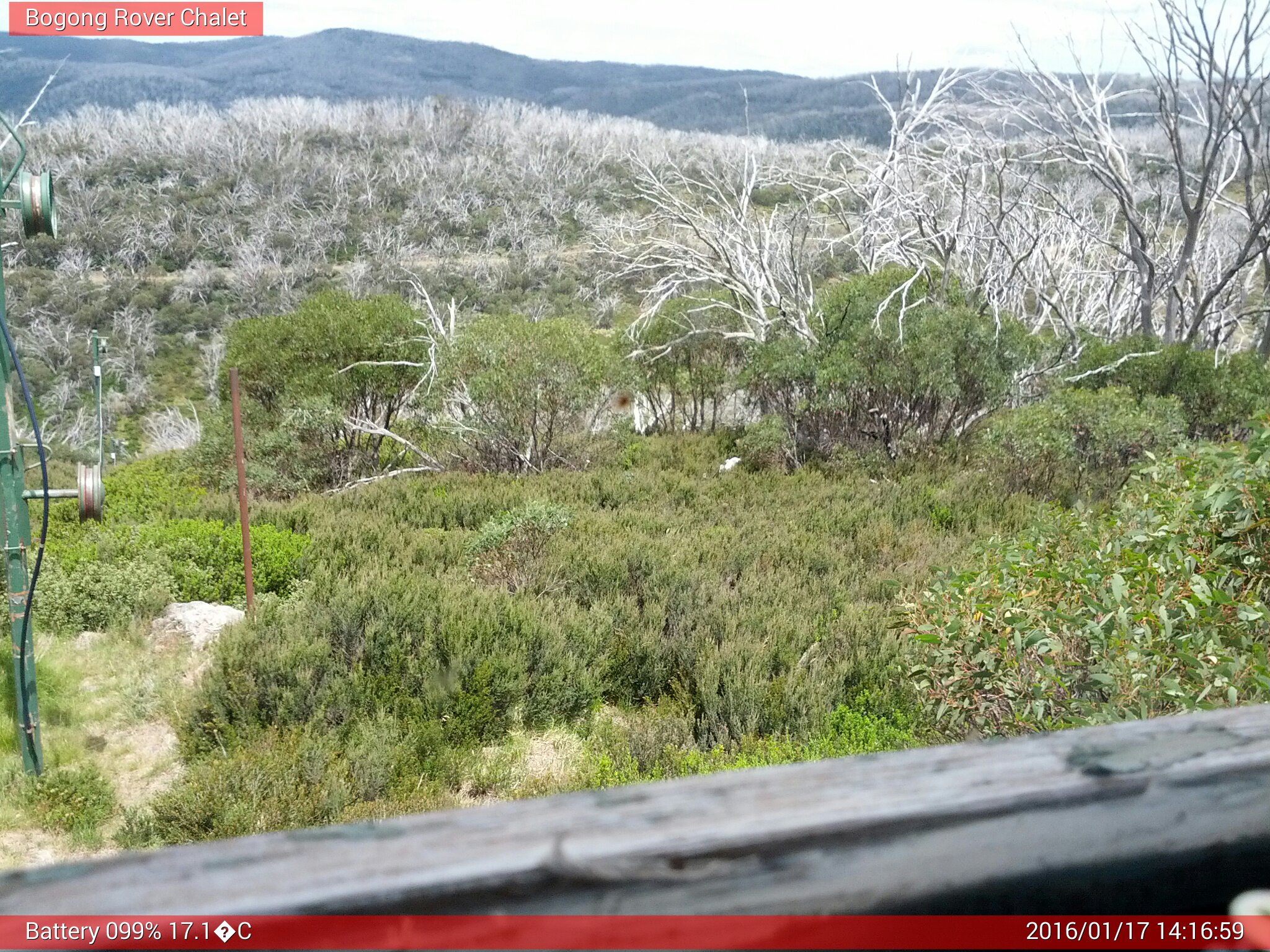 Bogong Web Cam 2:16pm Sunday 17th of January 2016