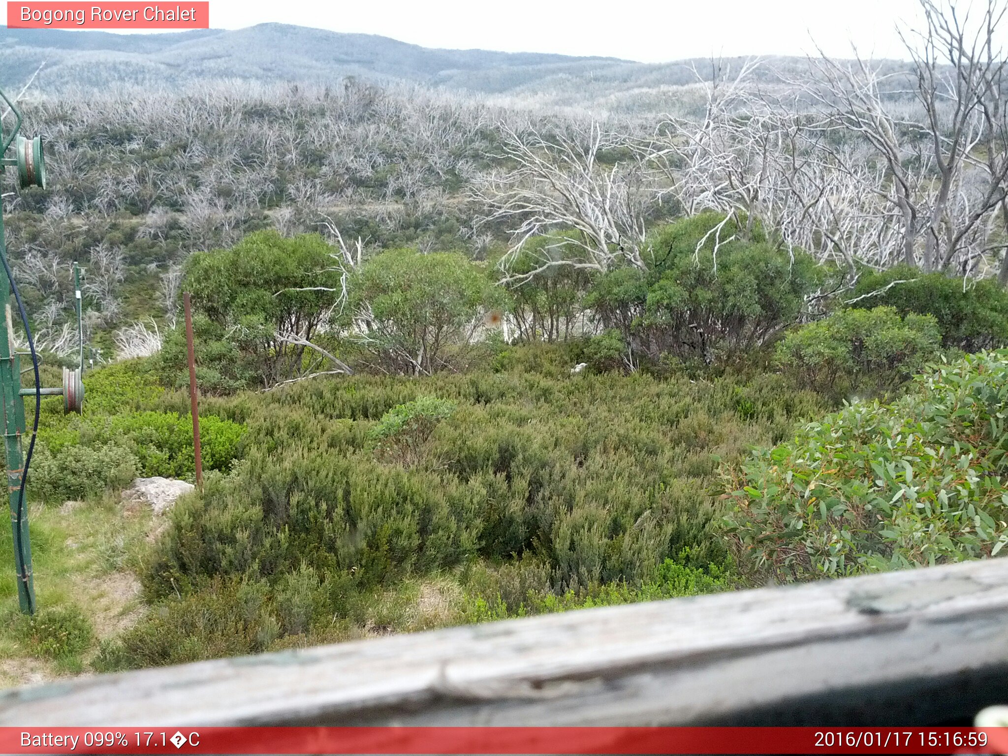 Bogong Web Cam 3:16pm Sunday 17th of January 2016