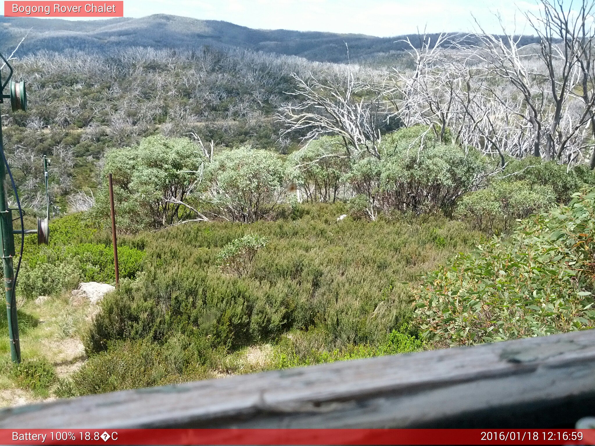 Bogong Web Cam 12:16pm Monday 18th of January 2016