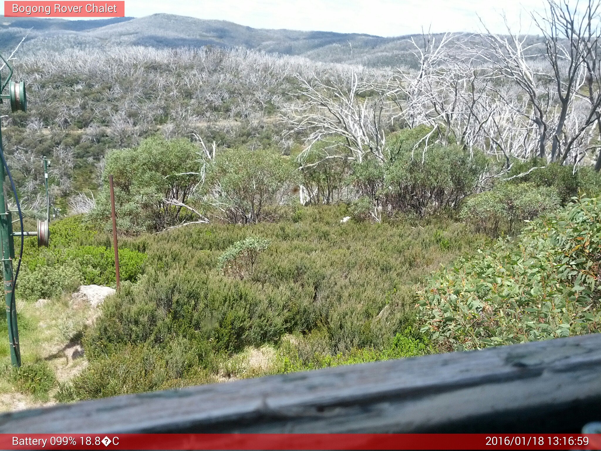 Bogong Web Cam 1:16pm Monday 18th of January 2016