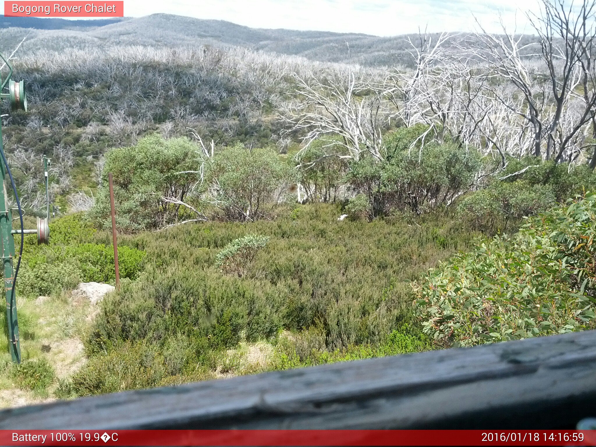 Bogong Web Cam 2:16pm Monday 18th of January 2016