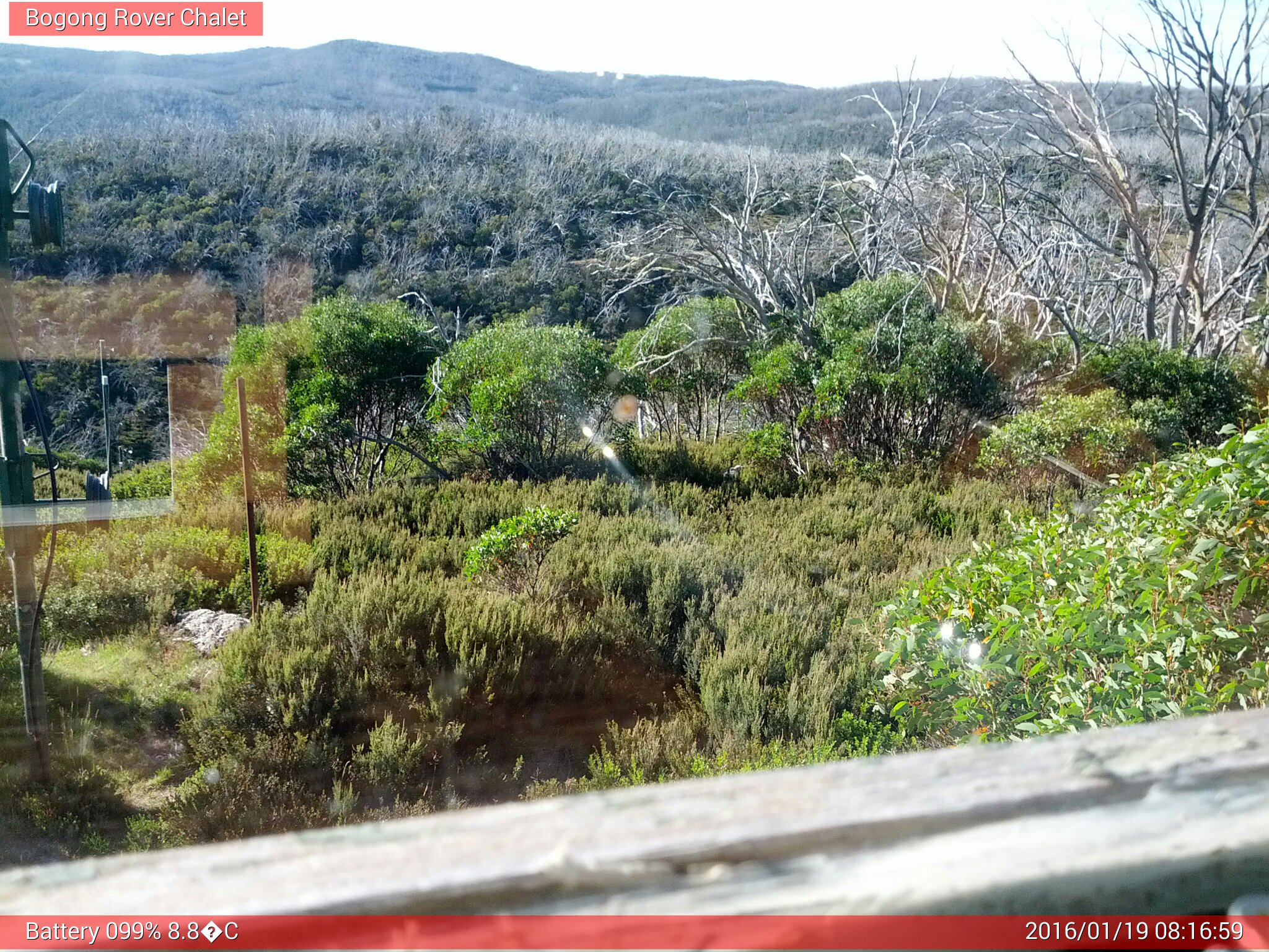 Bogong Web Cam 8:16am Tuesday 19th of January 2016