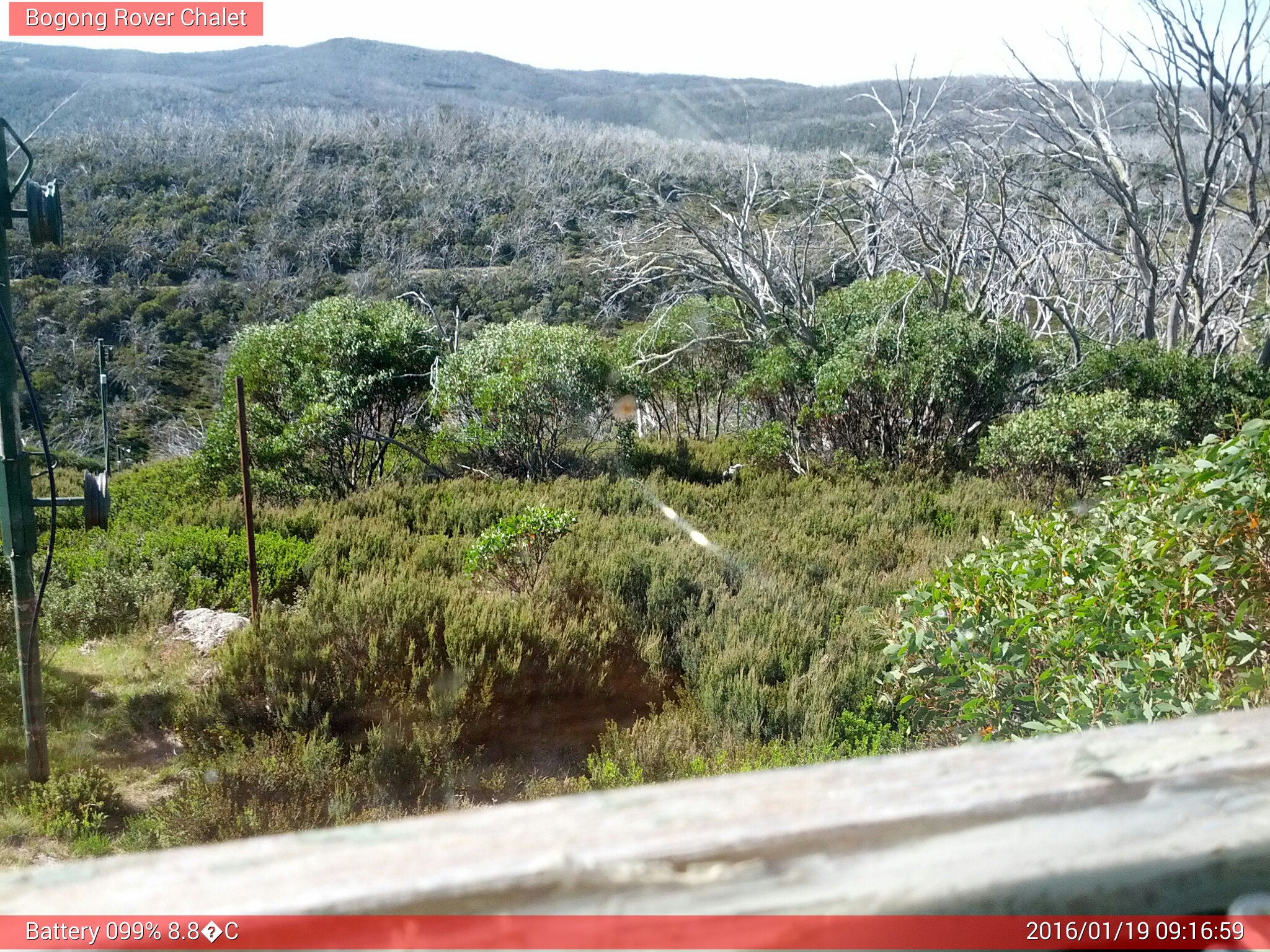 Bogong Web Cam 9:16am Tuesday 19th of January 2016