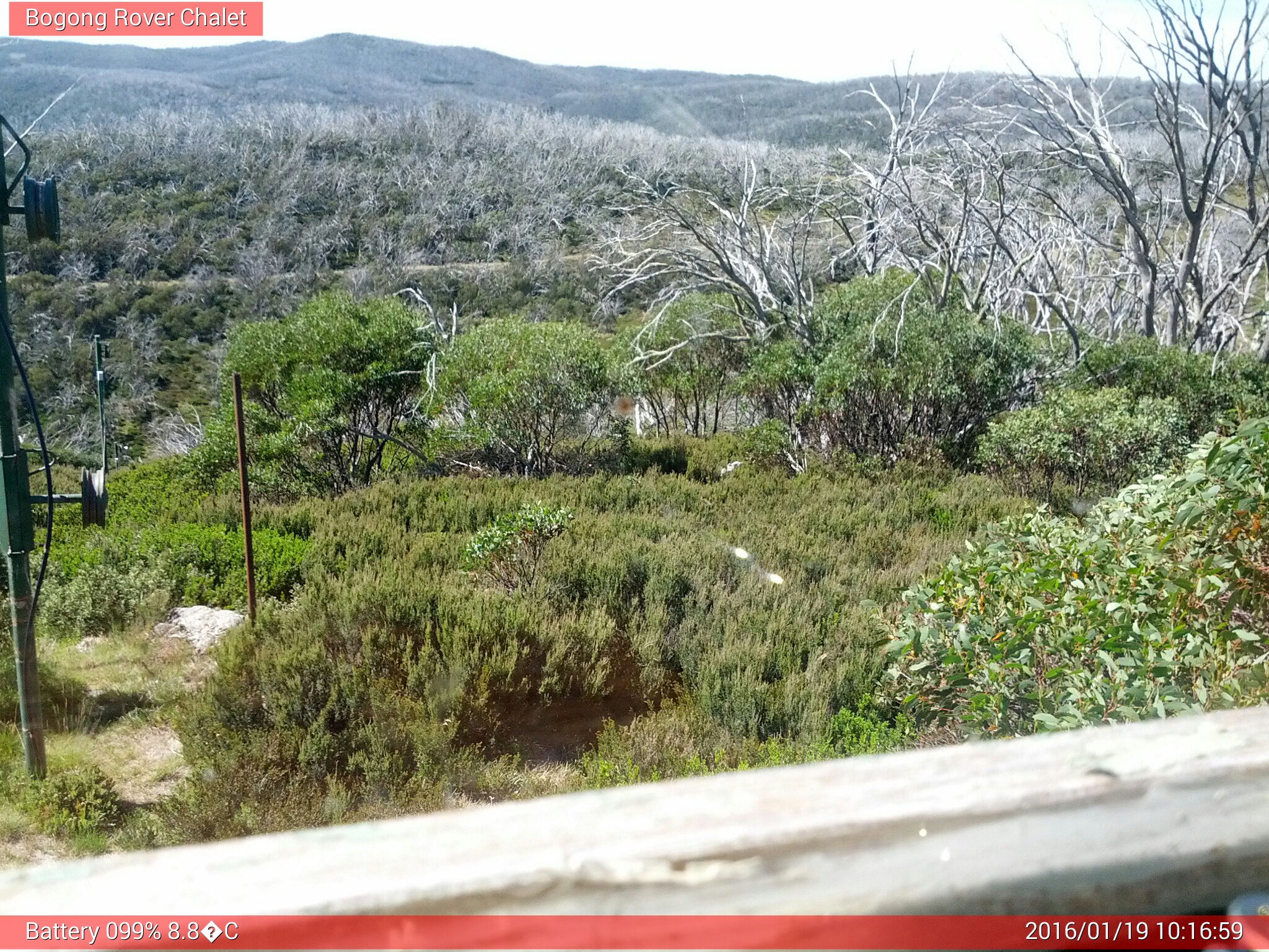 Bogong Web Cam 10:16am Tuesday 19th of January 2016