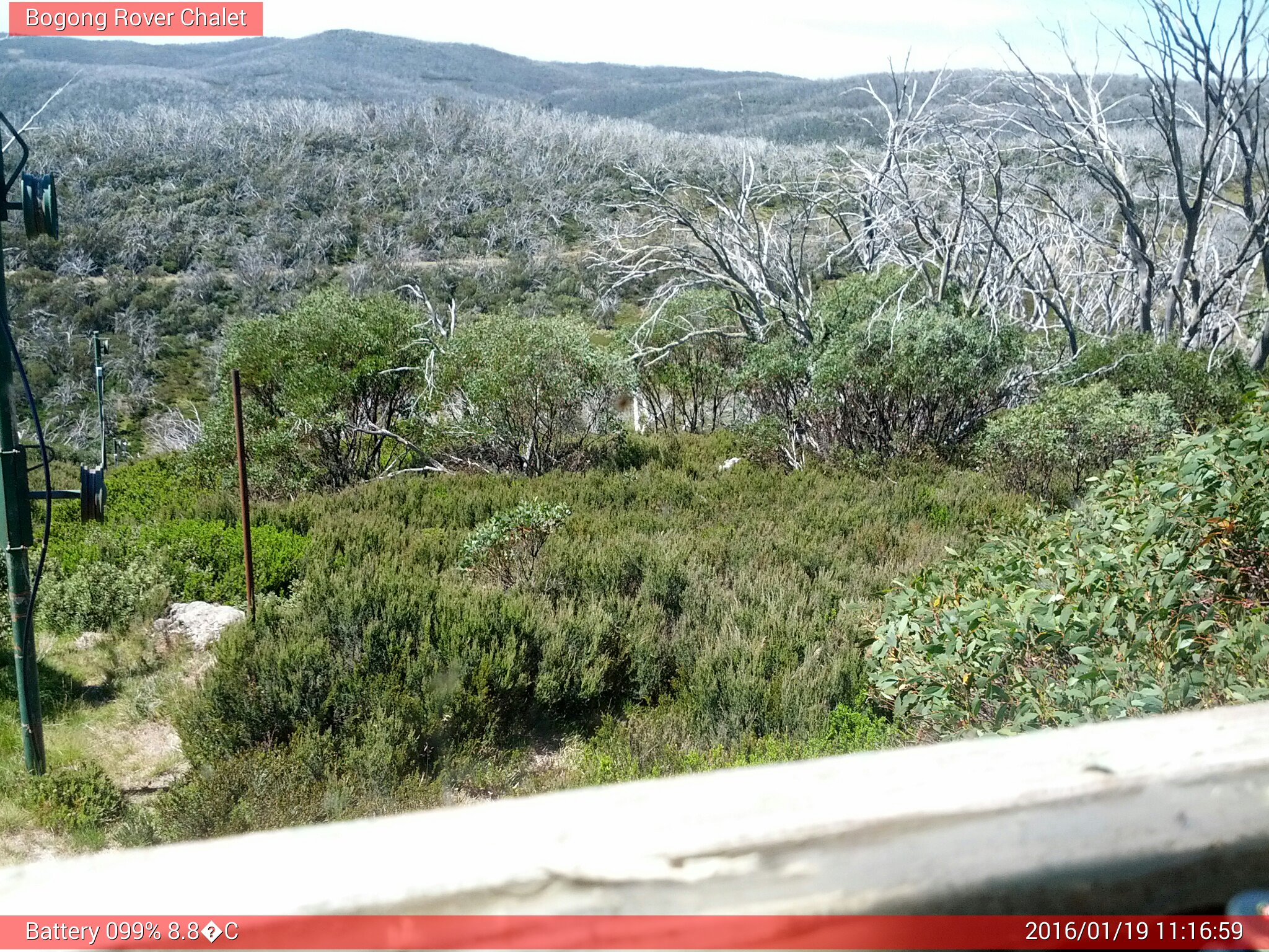 Bogong Web Cam 11:16am Tuesday 19th of January 2016