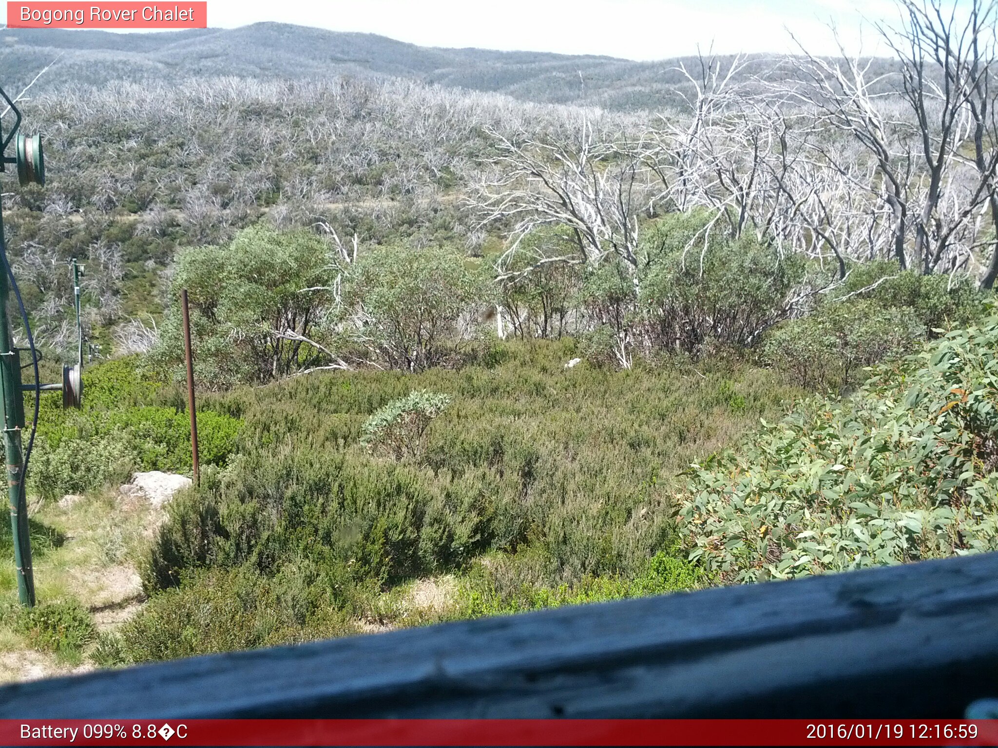 Bogong Web Cam 12:16pm Tuesday 19th of January 2016