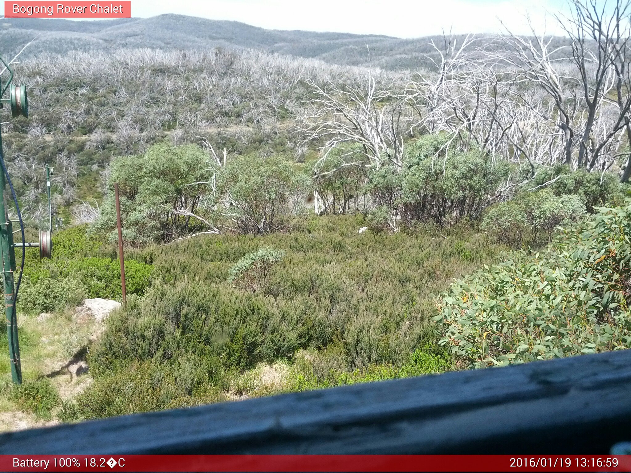 Bogong Web Cam 1:16pm Tuesday 19th of January 2016