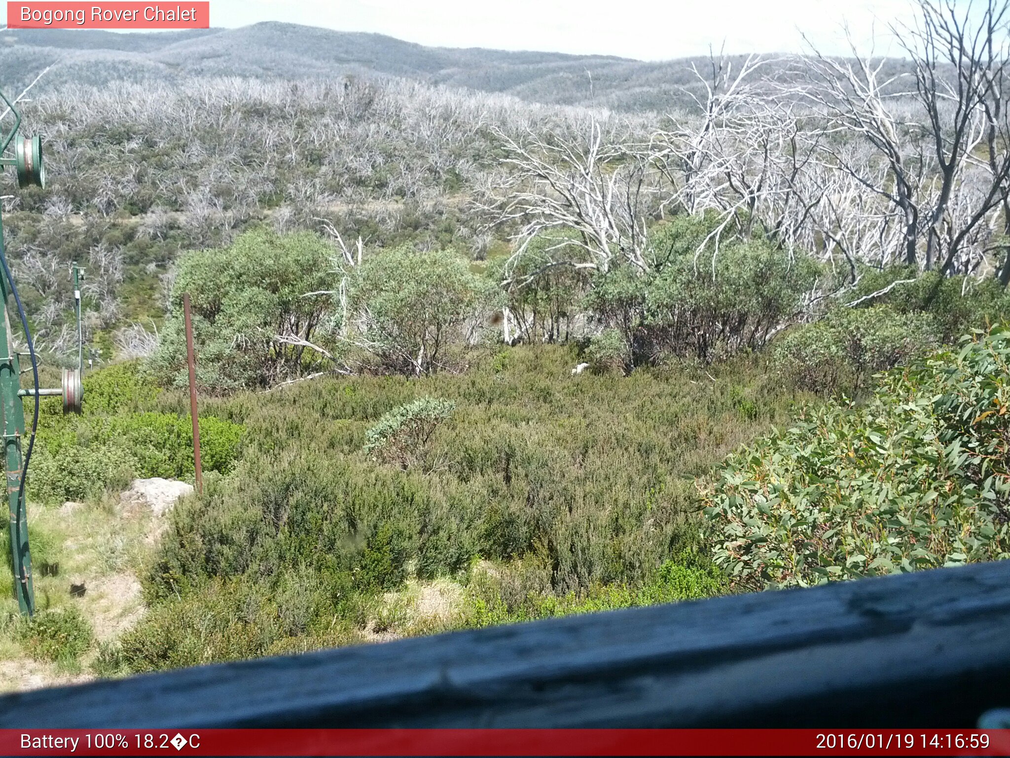 Bogong Web Cam 2:16pm Tuesday 19th of January 2016