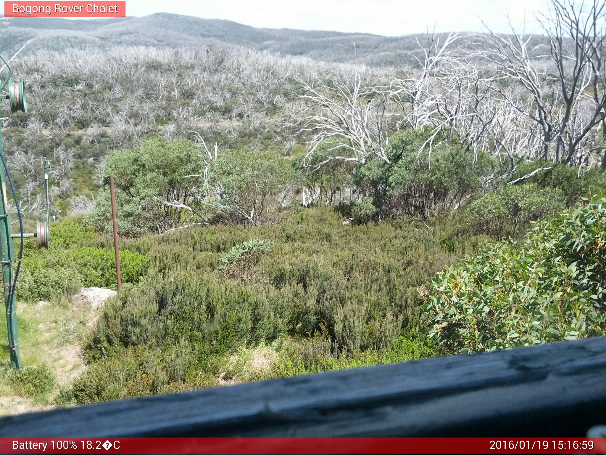 Bogong Web Cam 3:16pm Tuesday 19th of January 2016