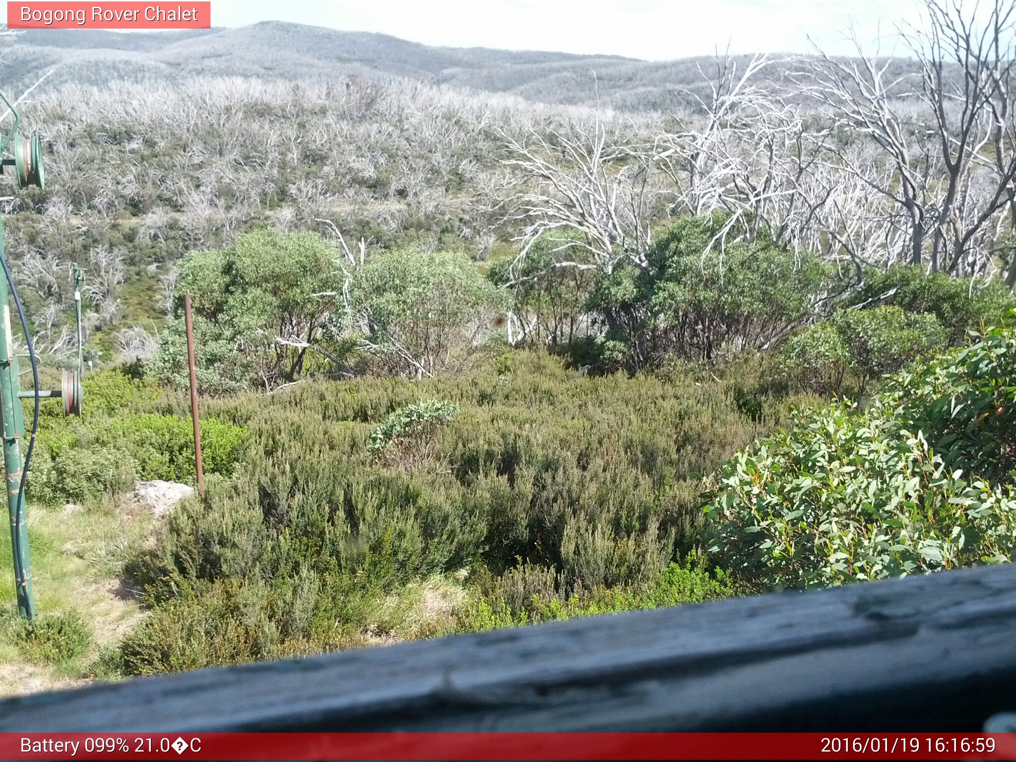 Bogong Web Cam 4:16pm Tuesday 19th of January 2016