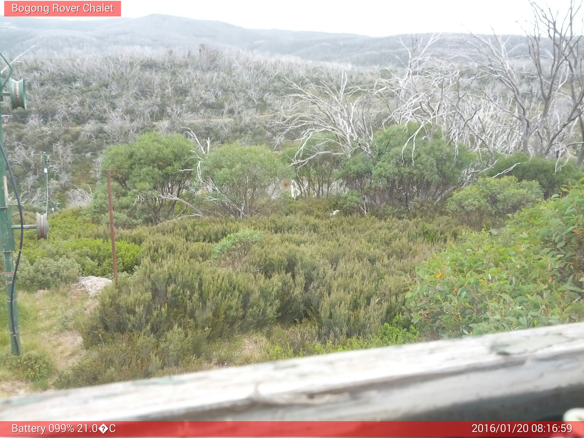 Bogong Web Cam 8:16am Wednesday 20th of January 2016