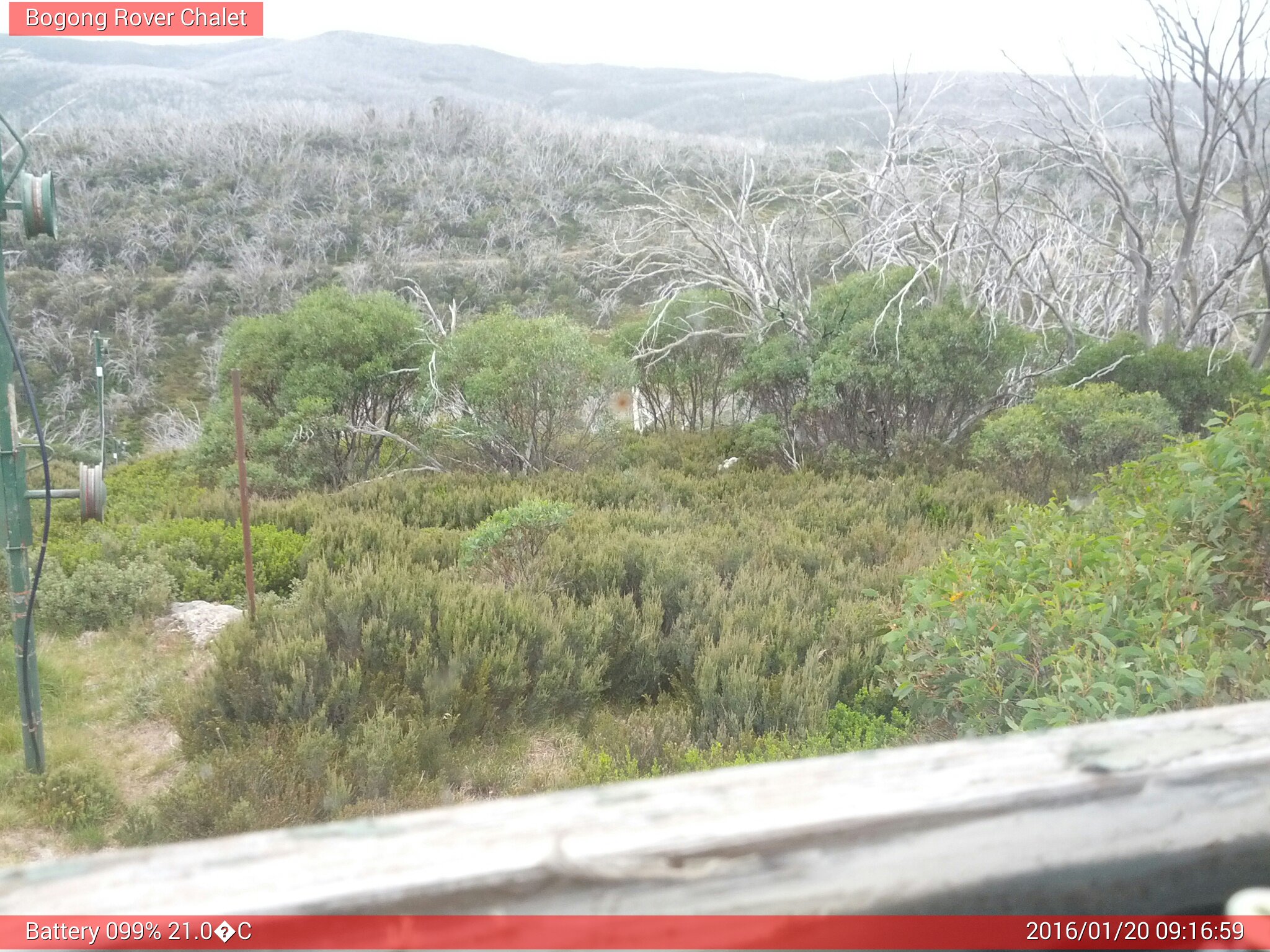 Bogong Web Cam 9:16am Wednesday 20th of January 2016