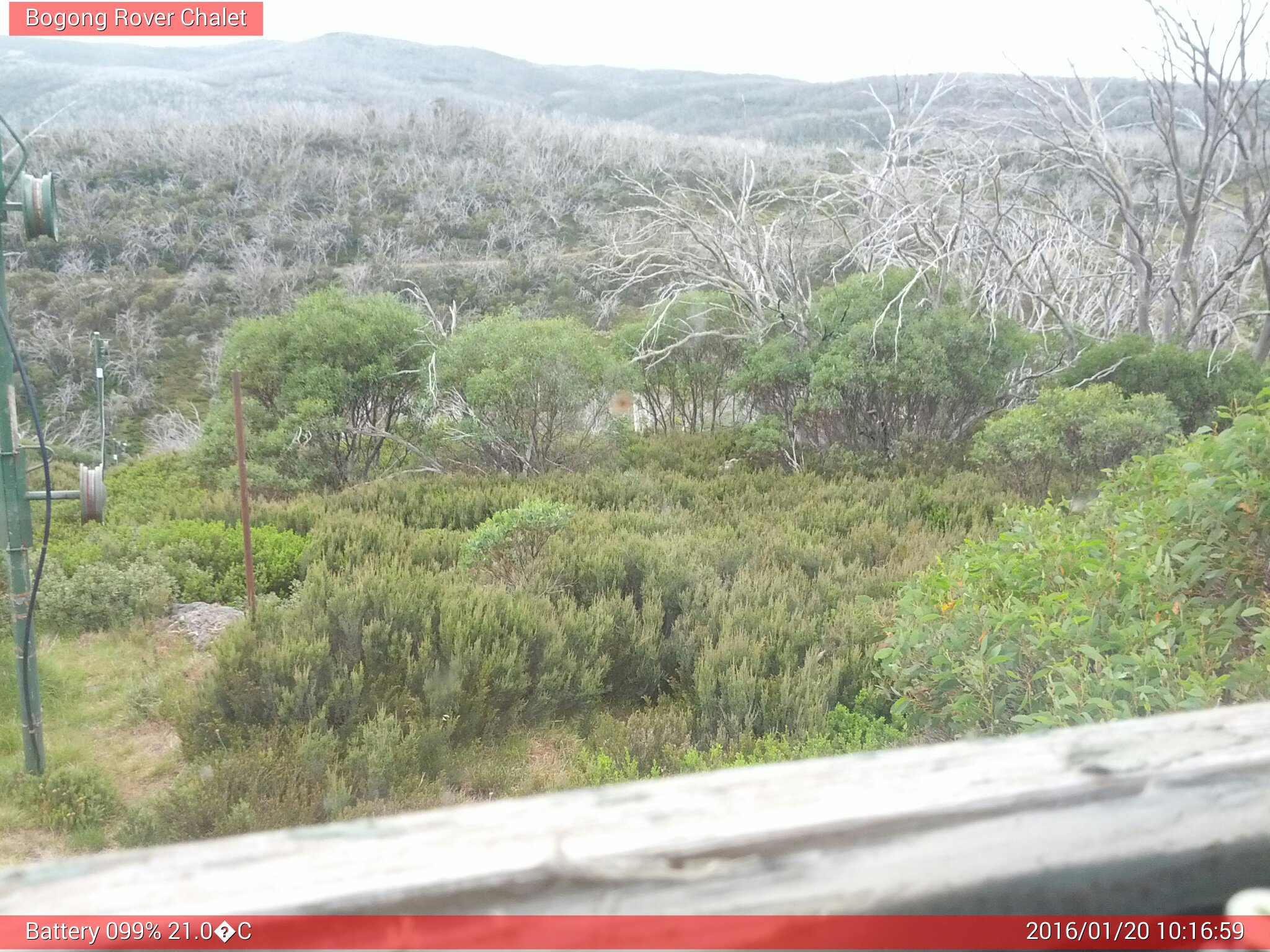 Bogong Web Cam 10:16am Wednesday 20th of January 2016