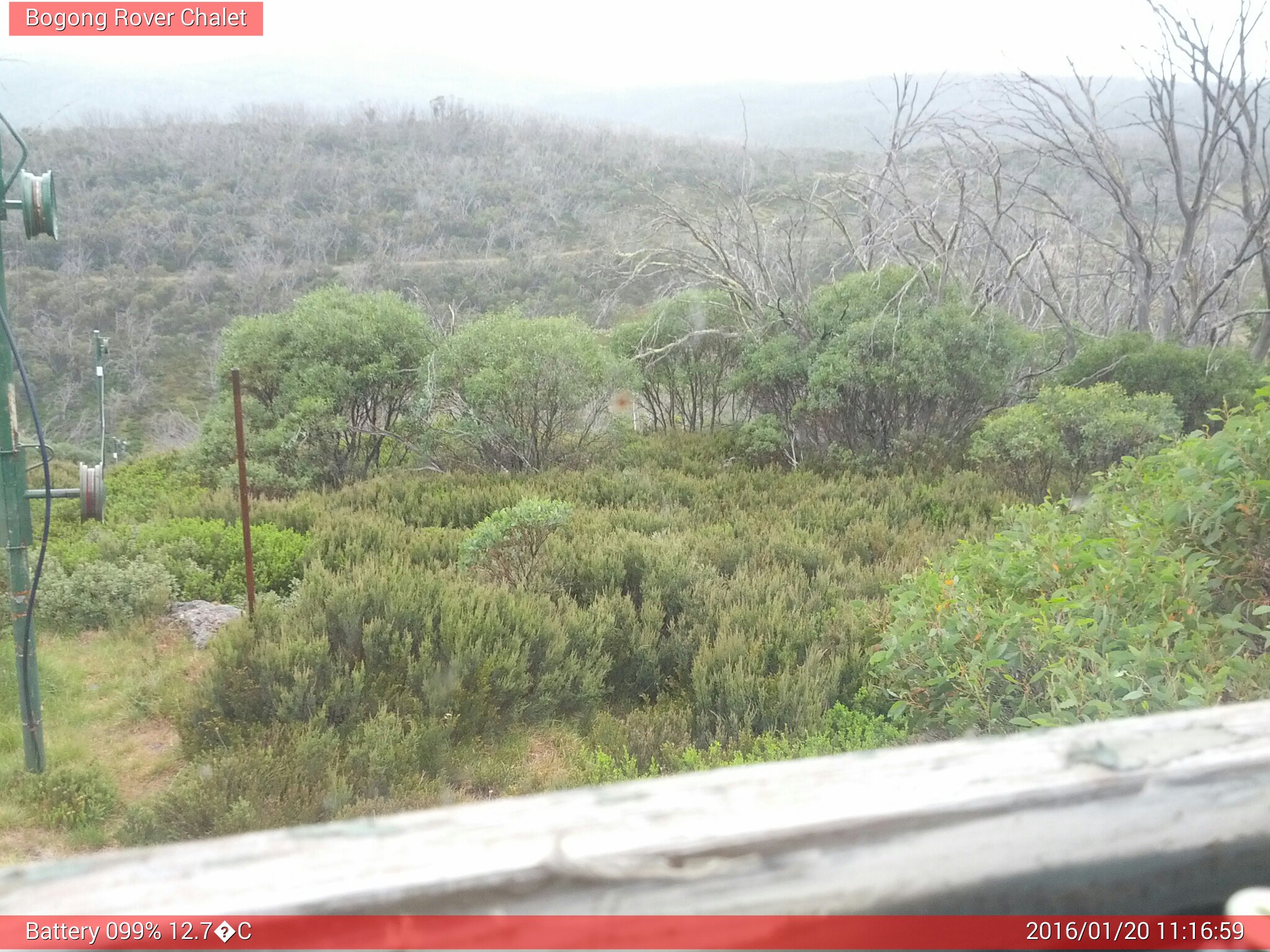 Bogong Web Cam 11:16am Wednesday 20th of January 2016