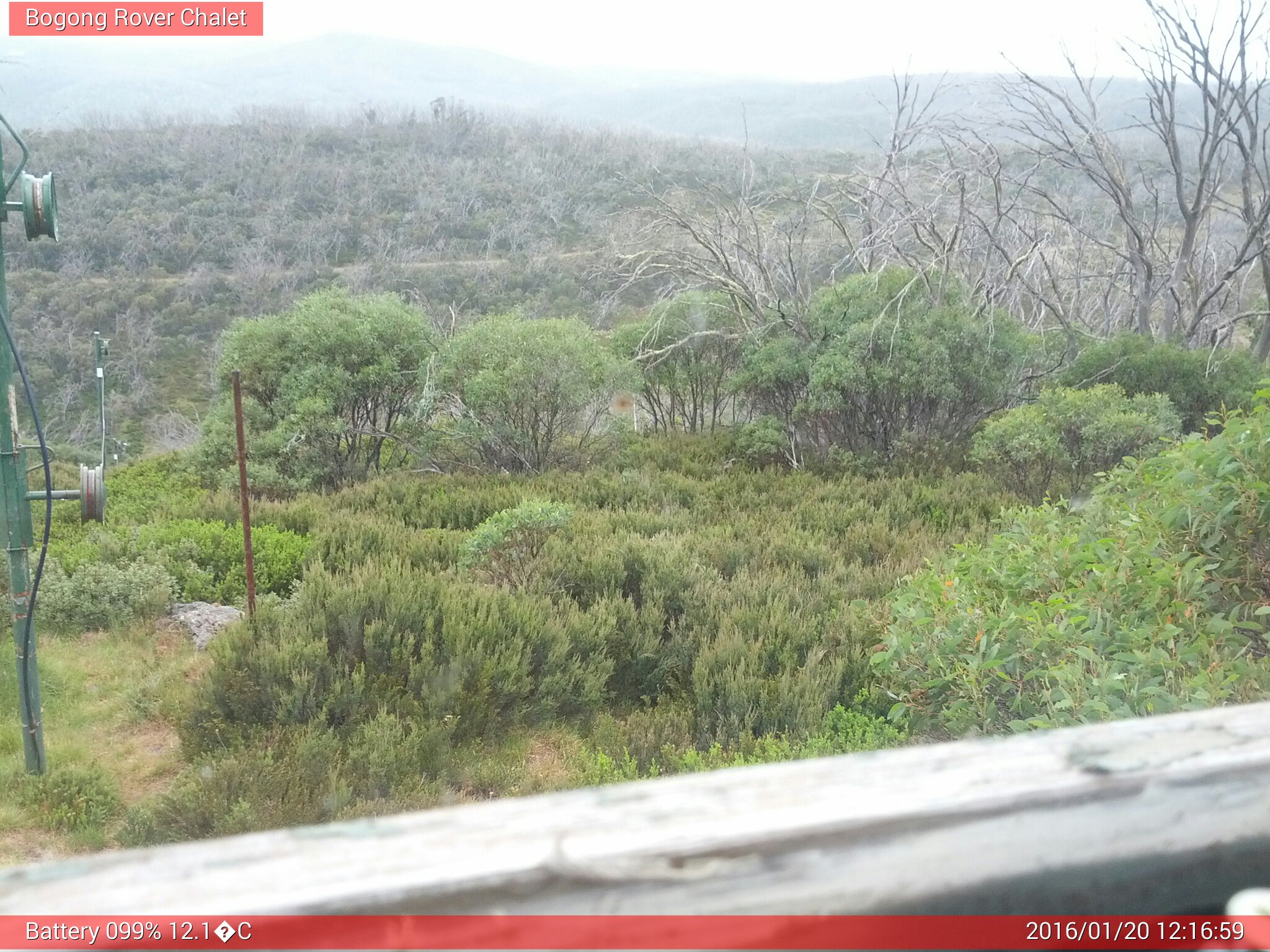 Bogong Web Cam 12:16pm Wednesday 20th of January 2016