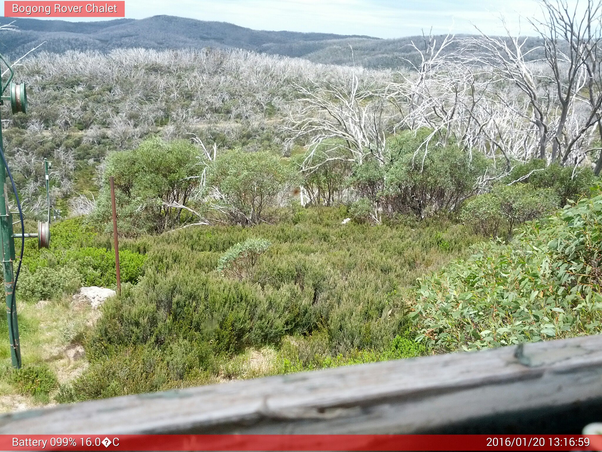 Bogong Web Cam 1:16pm Wednesday 20th of January 2016