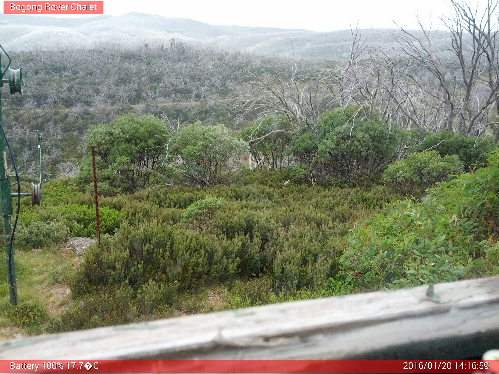 Bogong Web Cam 2:16pm Wednesday 20th of January 2016