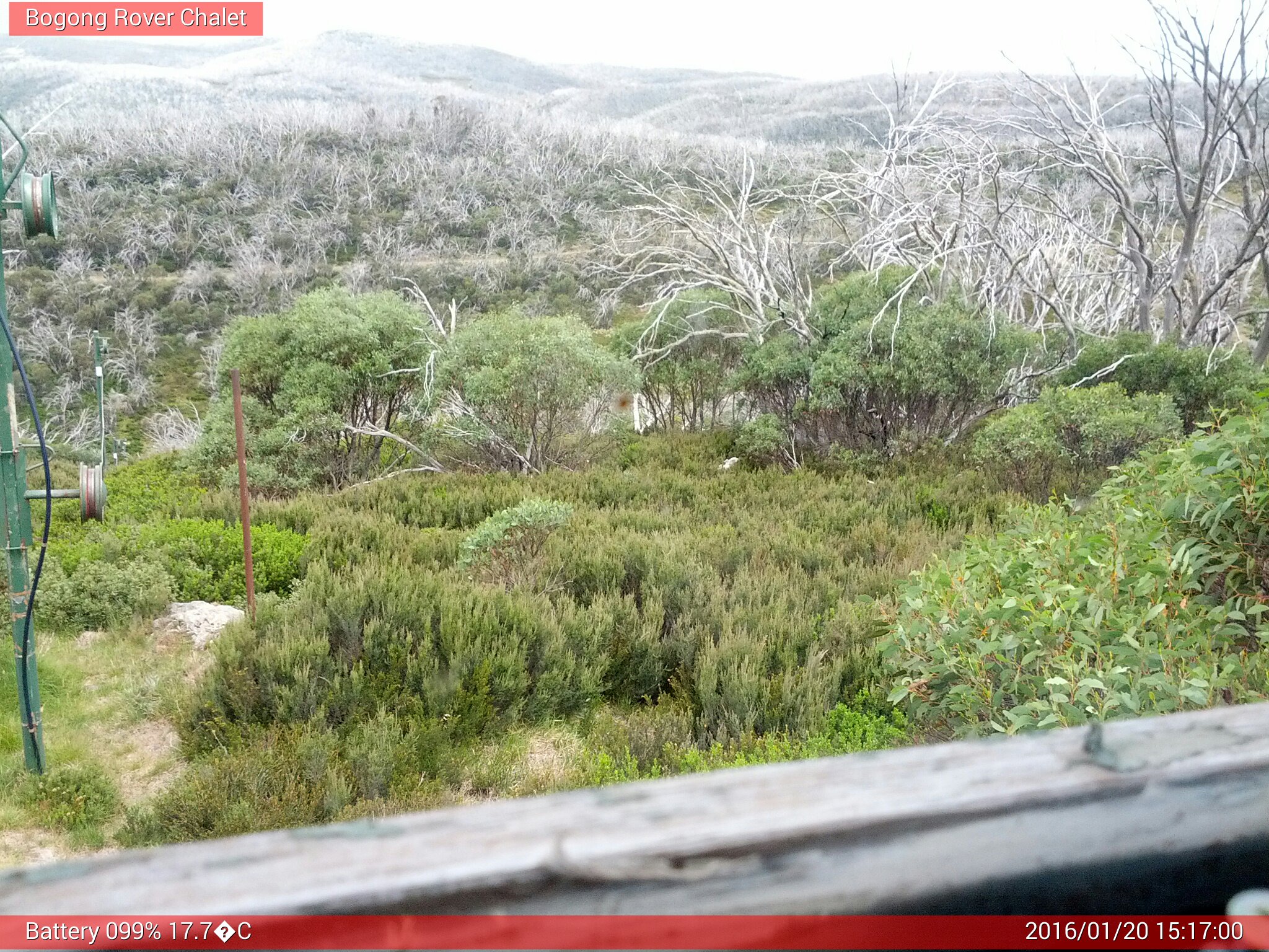 Bogong Web Cam 3:16pm Wednesday 20th of January 2016