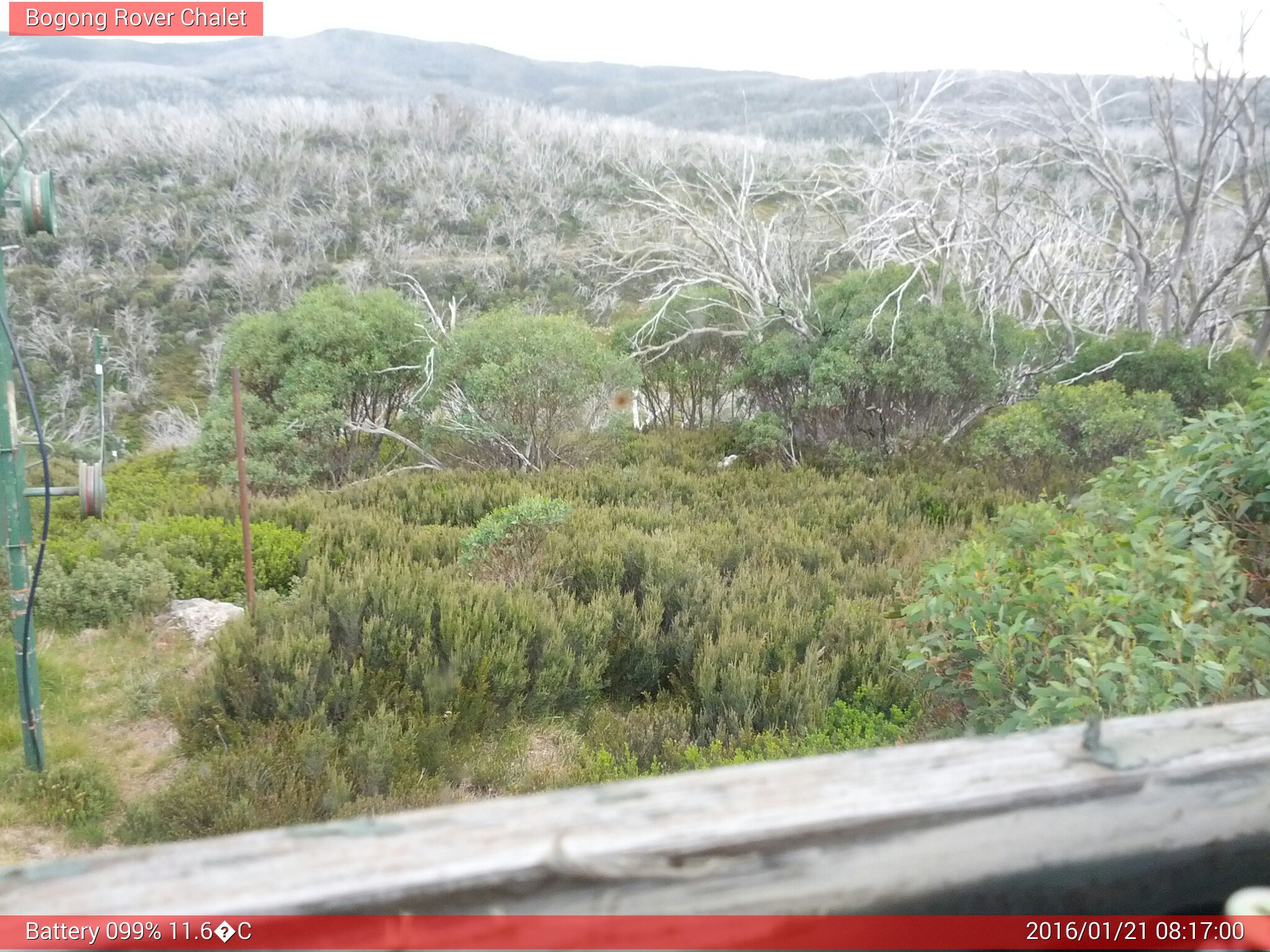 Bogong Web Cam 8:16am Thursday 21st of January 2016