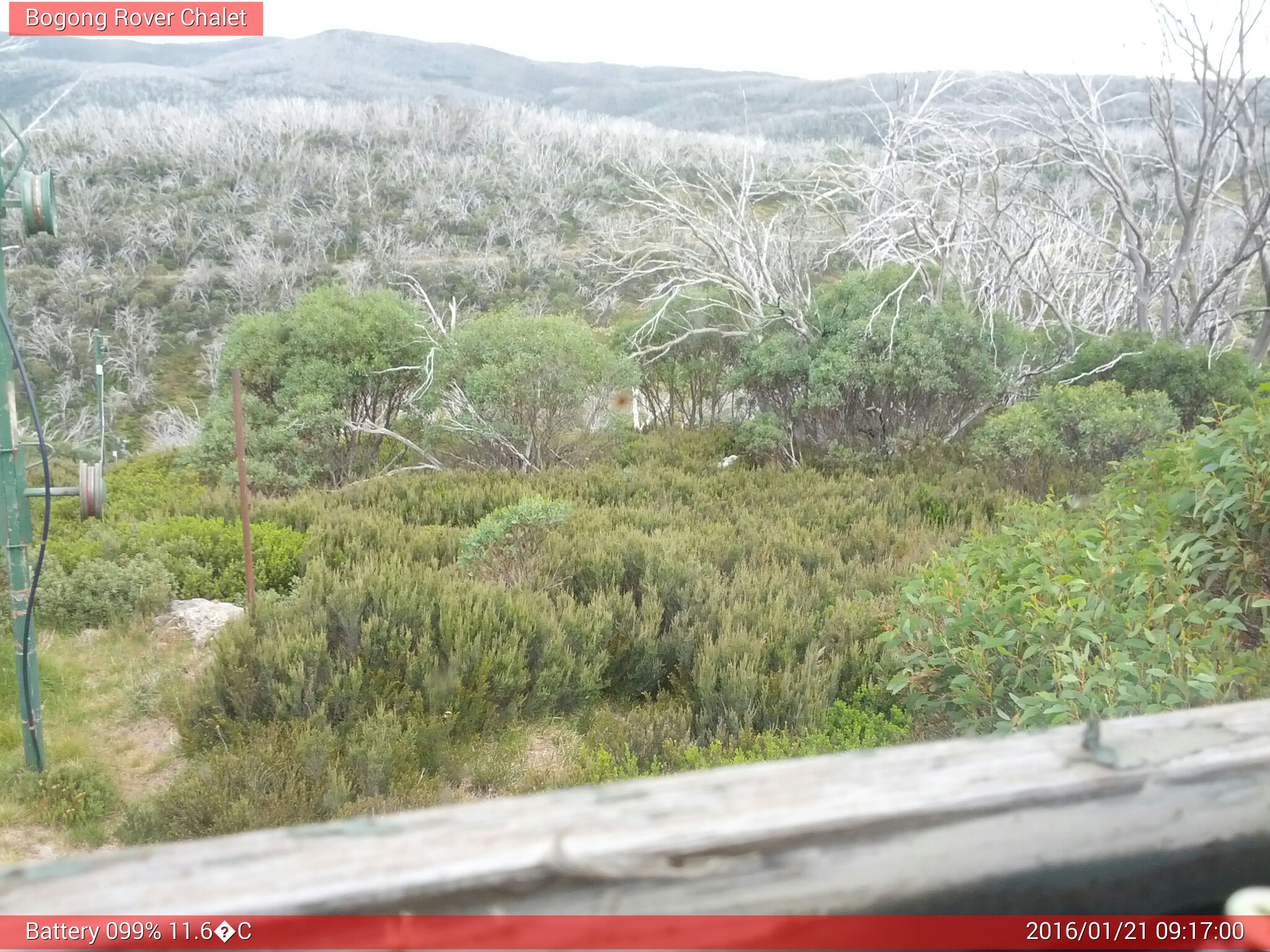 Bogong Web Cam 9:16am Thursday 21st of January 2016