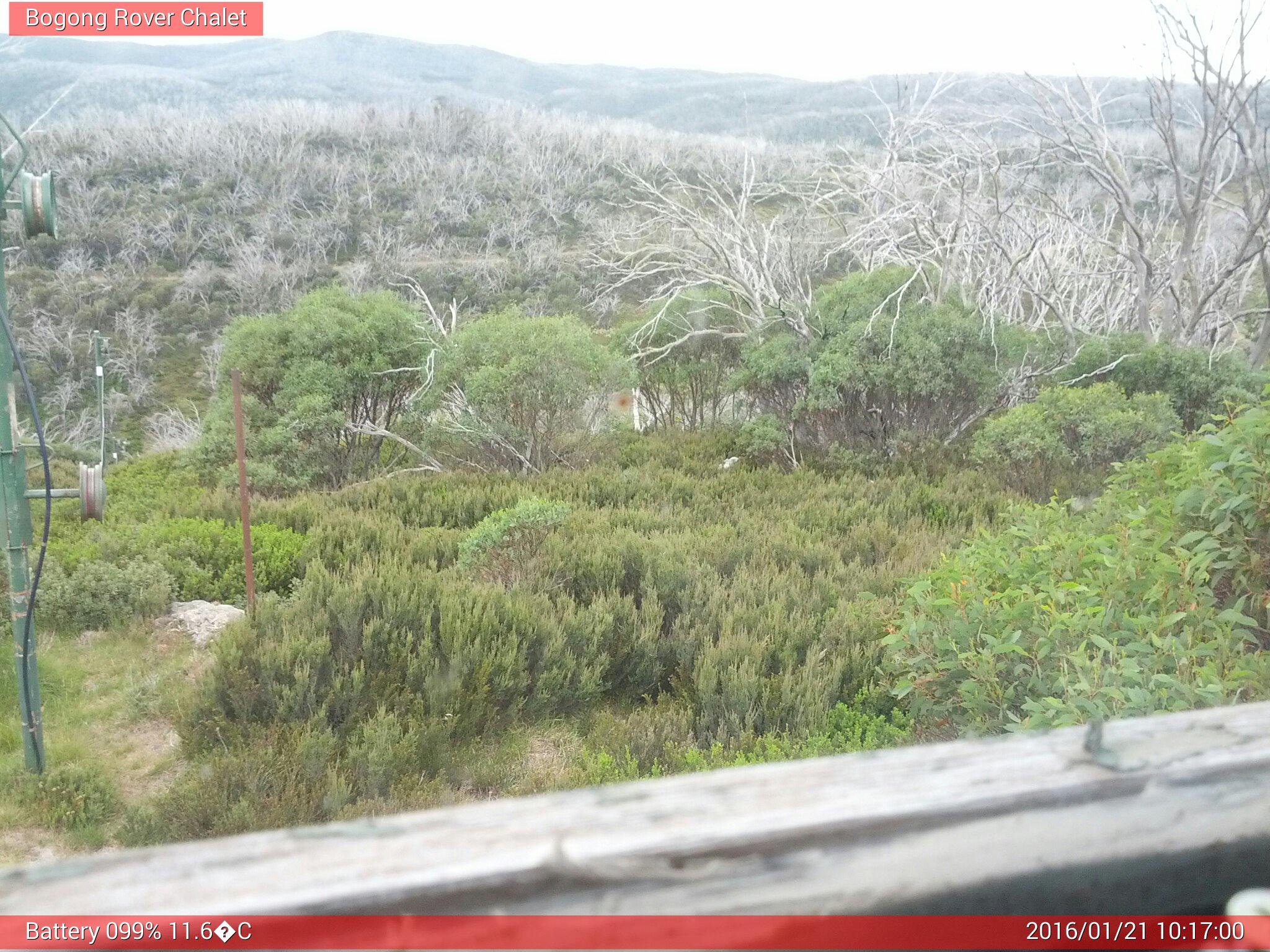 Bogong Web Cam 10:16am Thursday 21st of January 2016