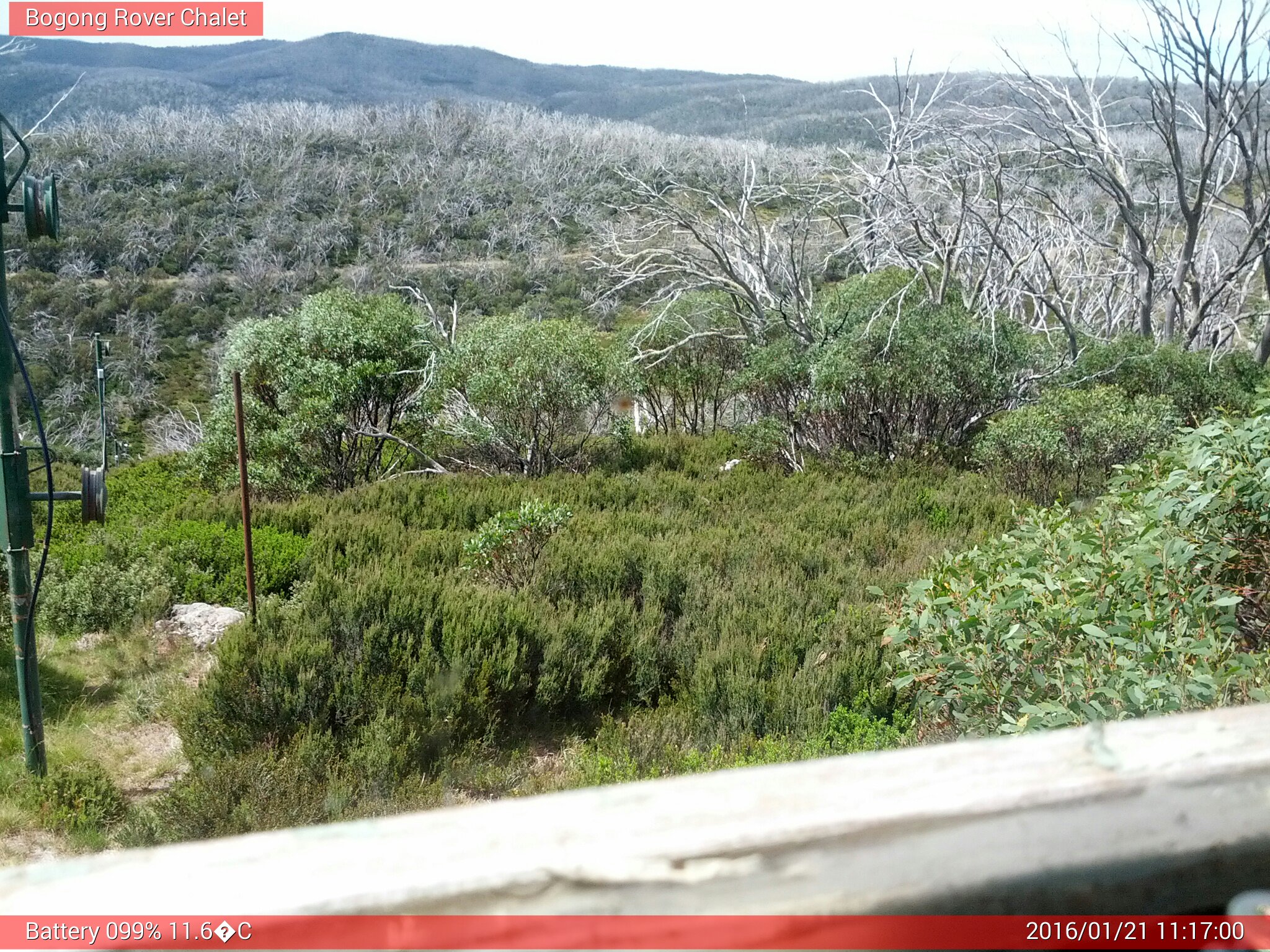 Bogong Web Cam 11:16am Thursday 21st of January 2016