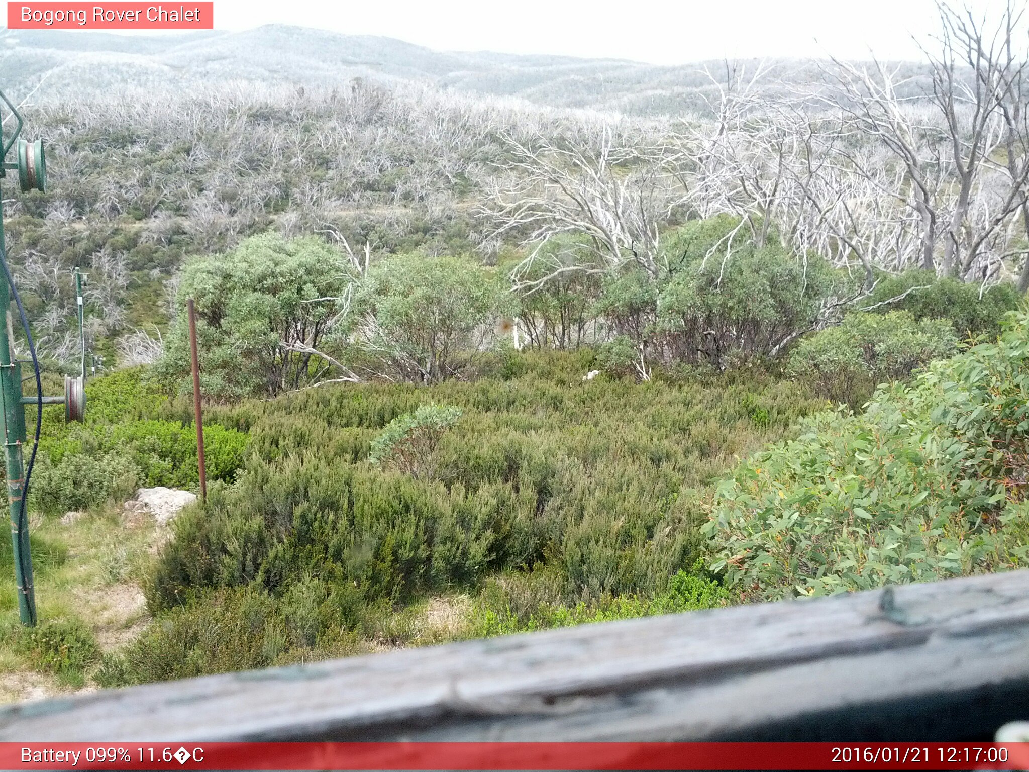 Bogong Web Cam 12:16pm Thursday 21st of January 2016