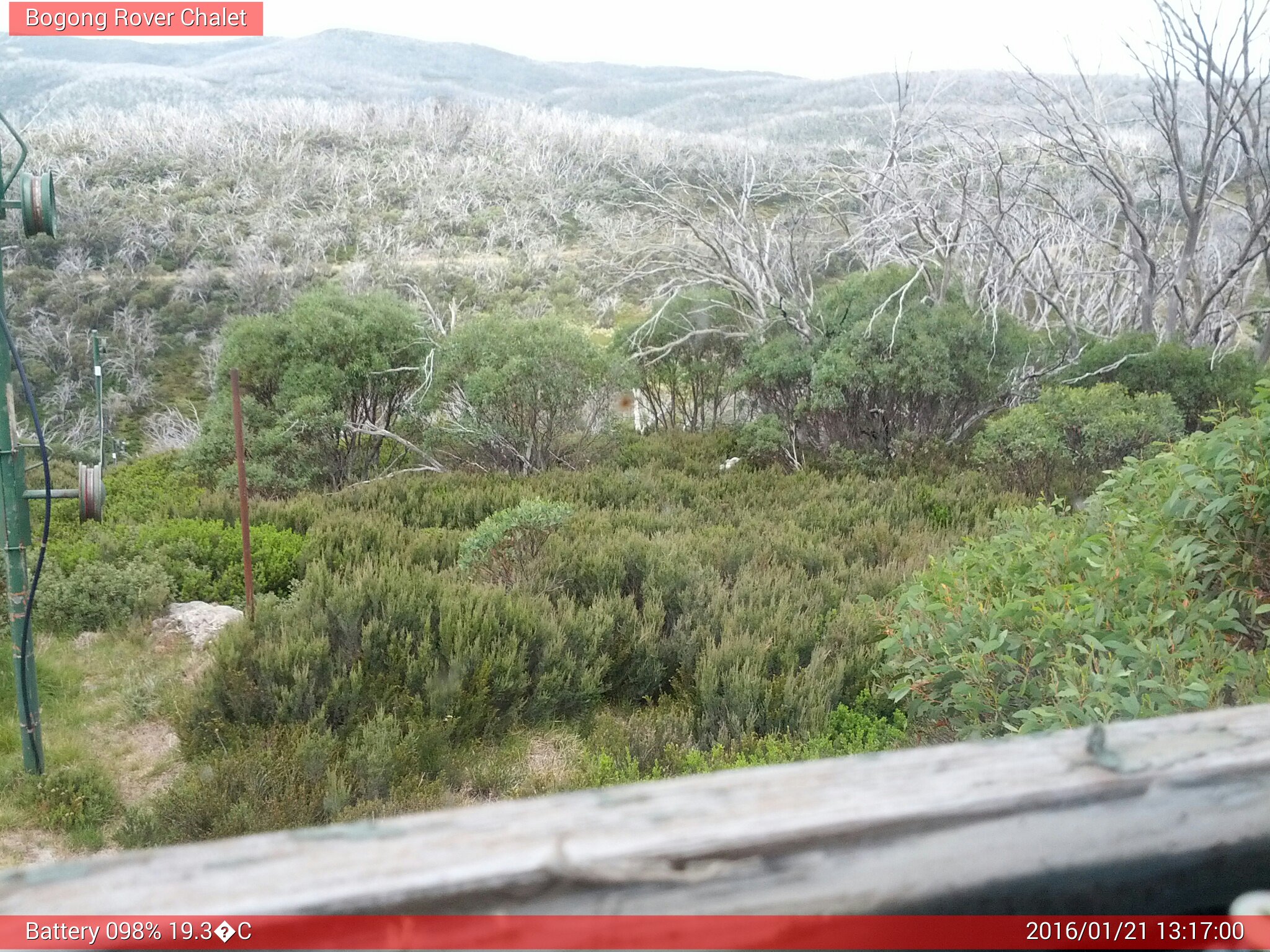 Bogong Web Cam 1:16pm Thursday 21st of January 2016