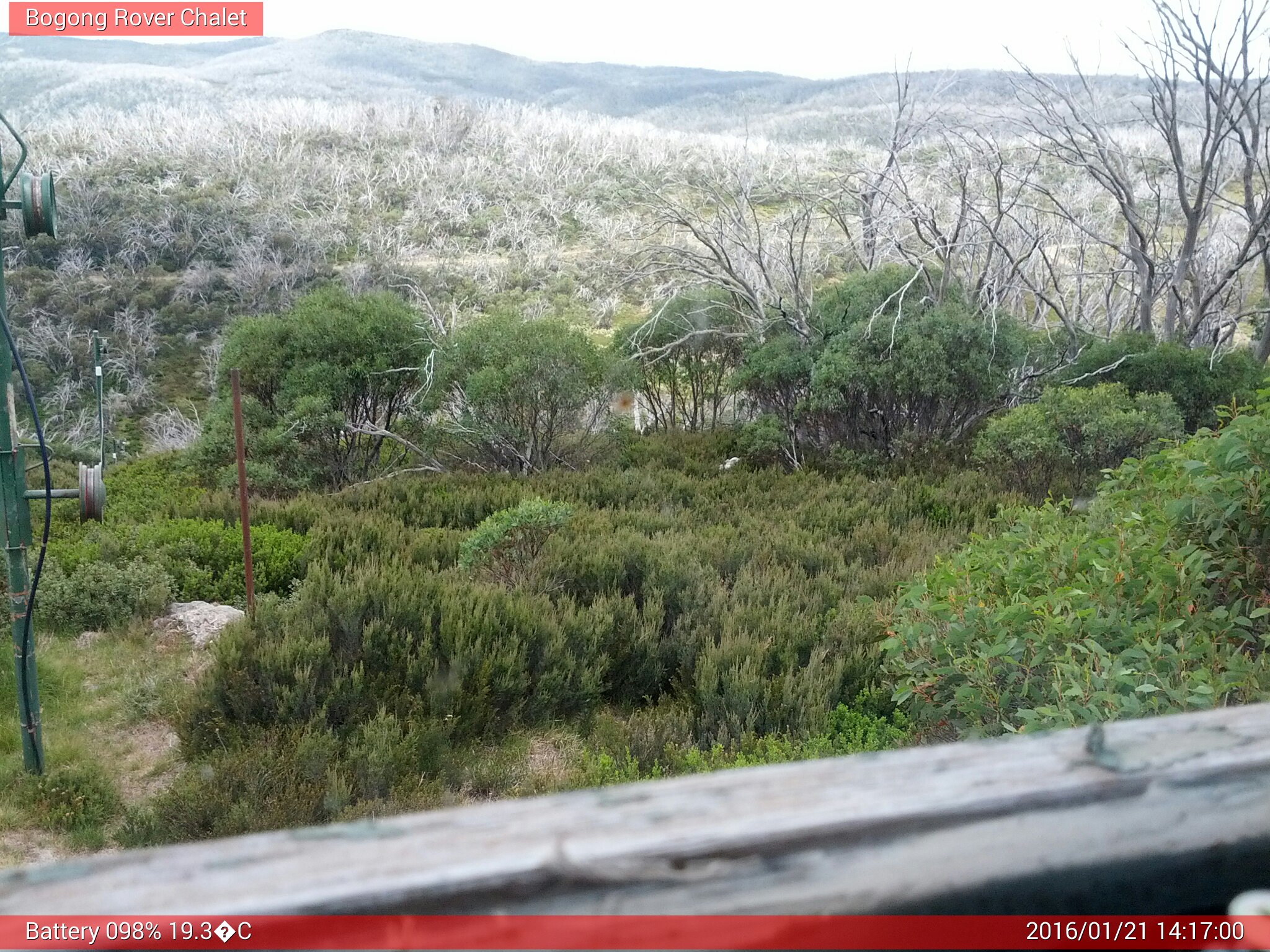 Bogong Web Cam 2:16pm Thursday 21st of January 2016