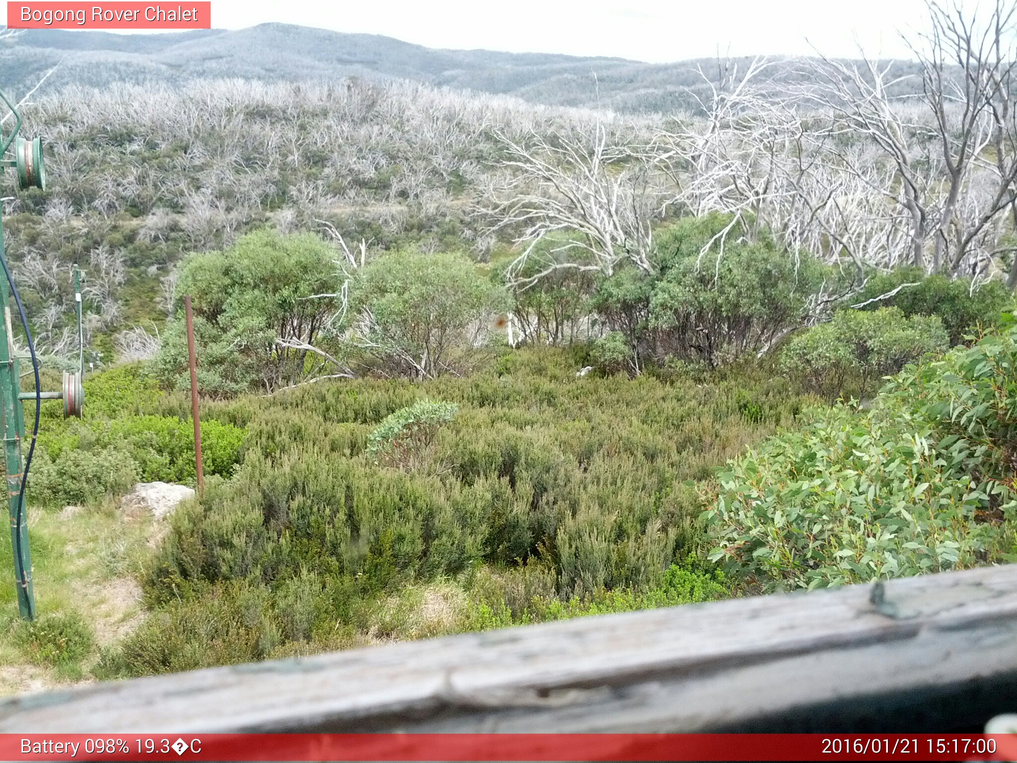 Bogong Web Cam 3:16pm Thursday 21st of January 2016