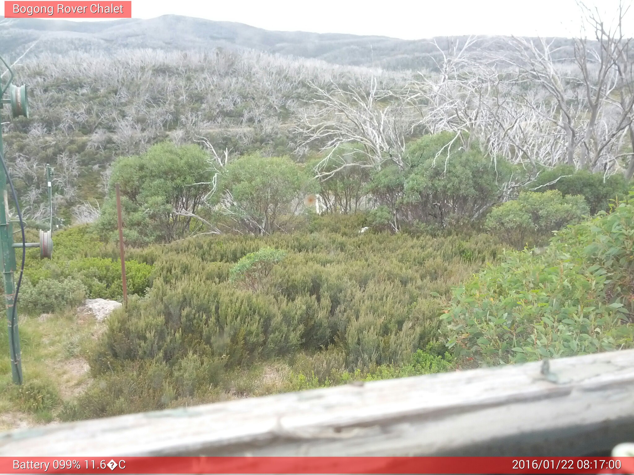 Bogong Web Cam 8:16am Friday 22nd of January 2016