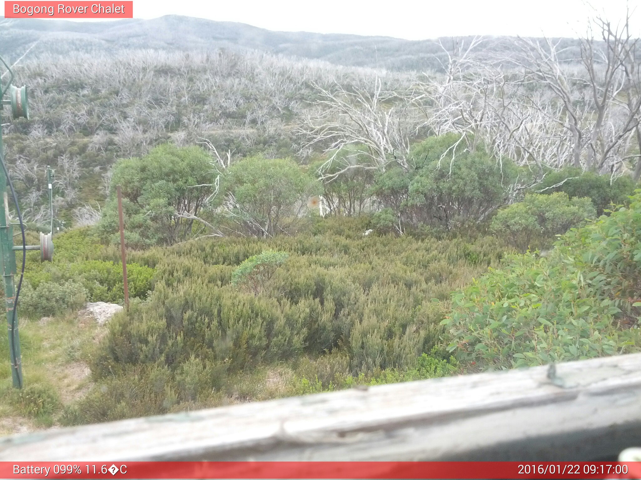 Bogong Web Cam 9:16am Friday 22nd of January 2016