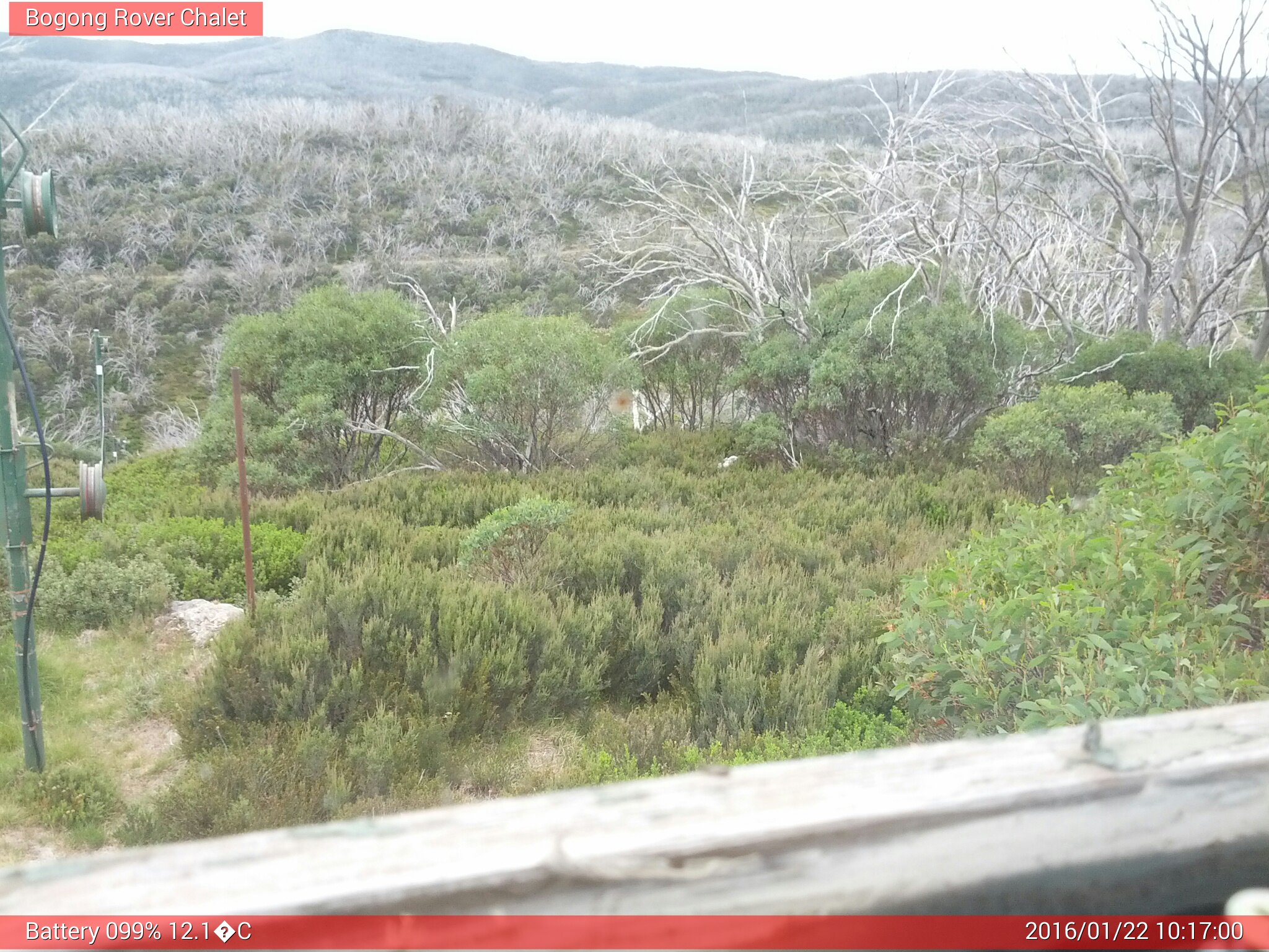 Bogong Web Cam 10:16am Friday 22nd of January 2016