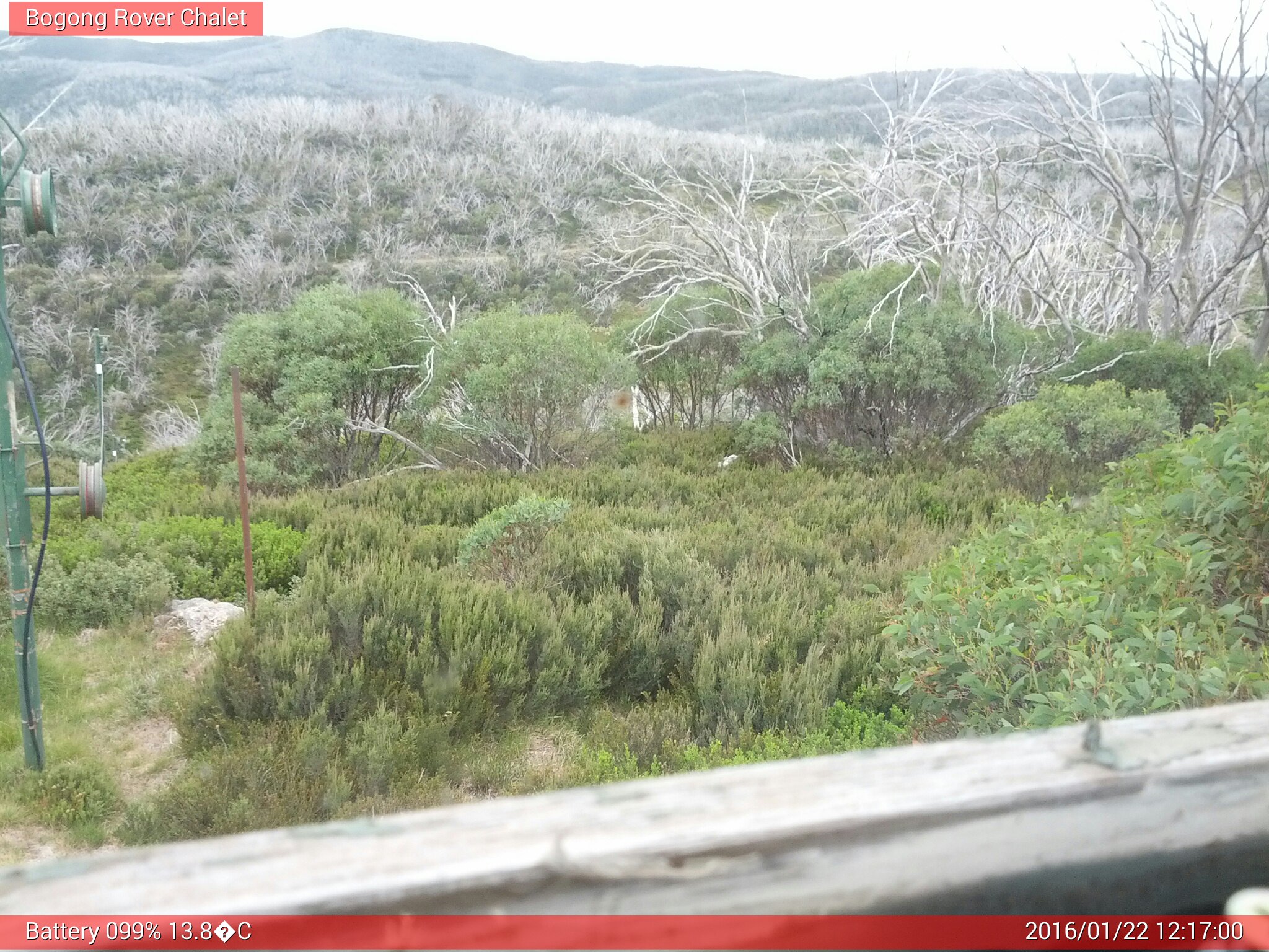 Bogong Web Cam 12:16pm Friday 22nd of January 2016