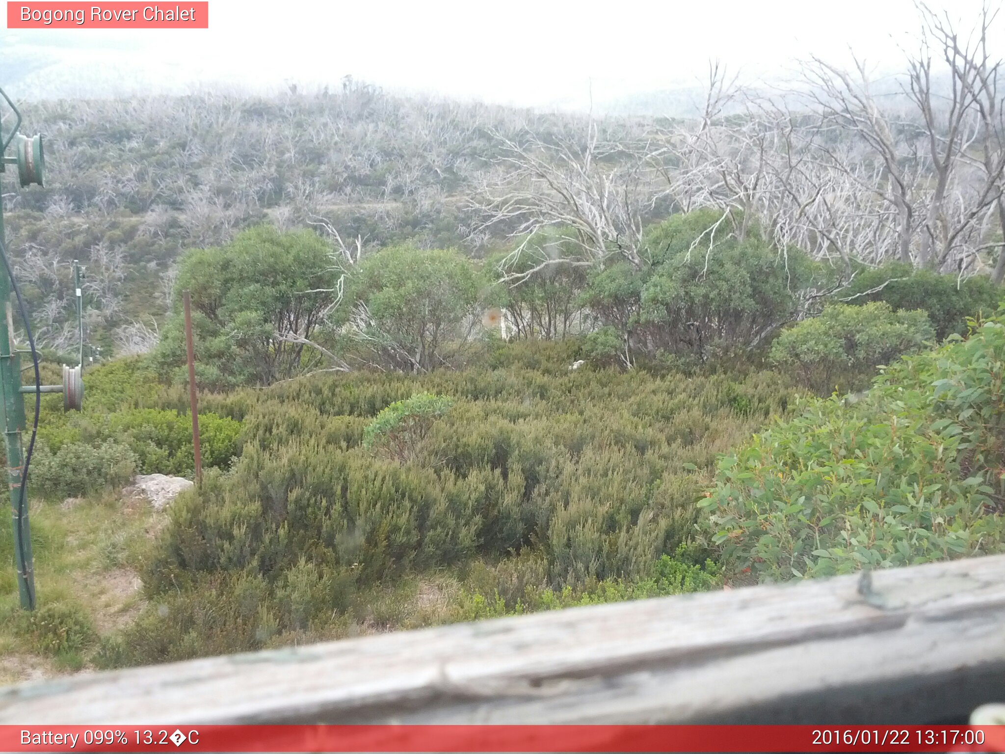 Bogong Web Cam 1:16pm Friday 22nd of January 2016