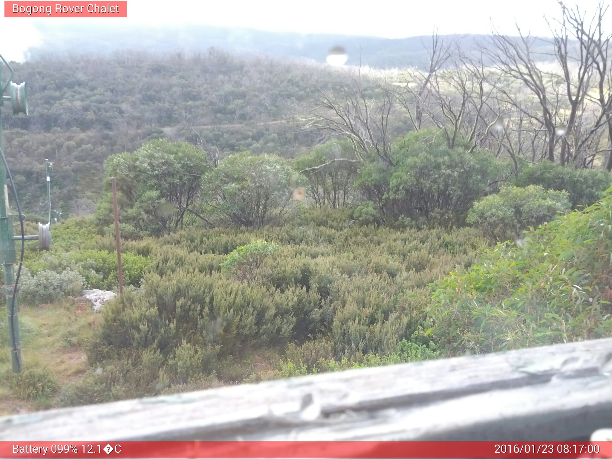 Bogong Web Cam 8:16am Saturday 23rd of January 2016