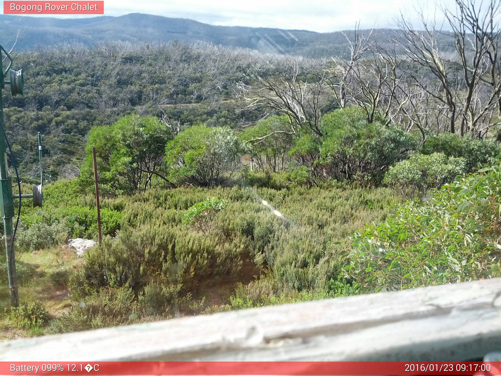 Bogong Web Cam 9:16am Saturday 23rd of January 2016