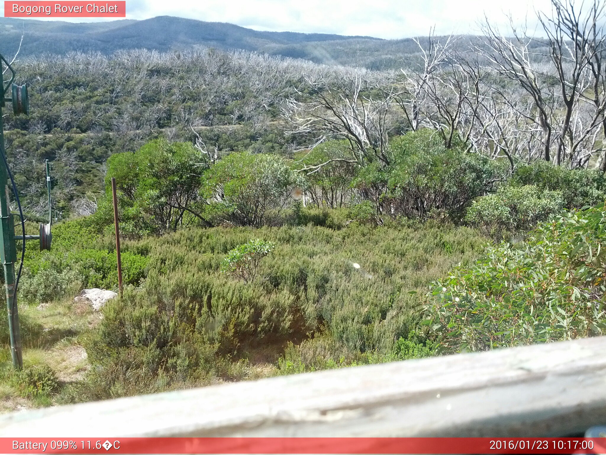 Bogong Web Cam 10:16am Saturday 23rd of January 2016