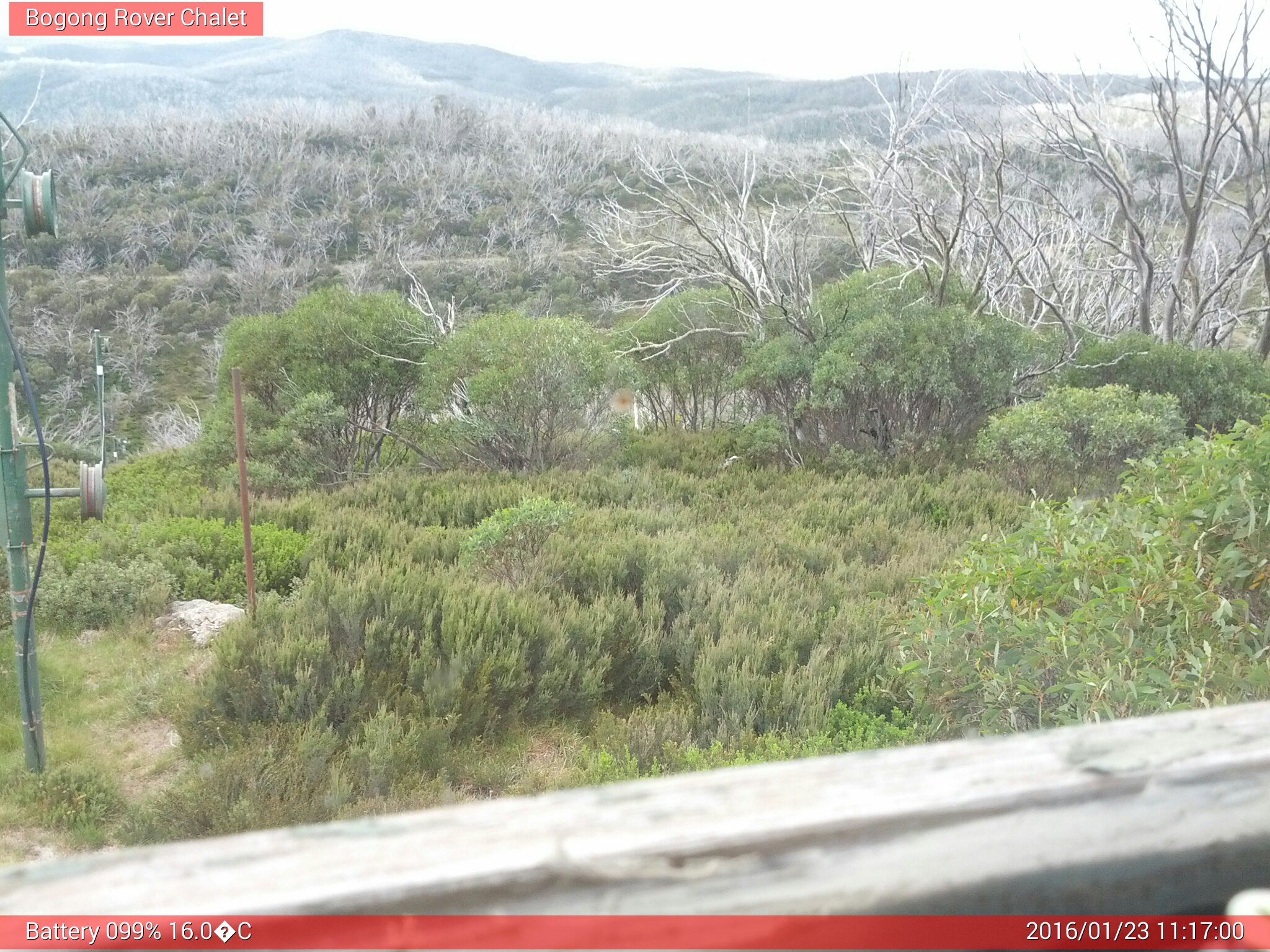 Bogong Web Cam 11:17am Saturday 23rd of January 2016