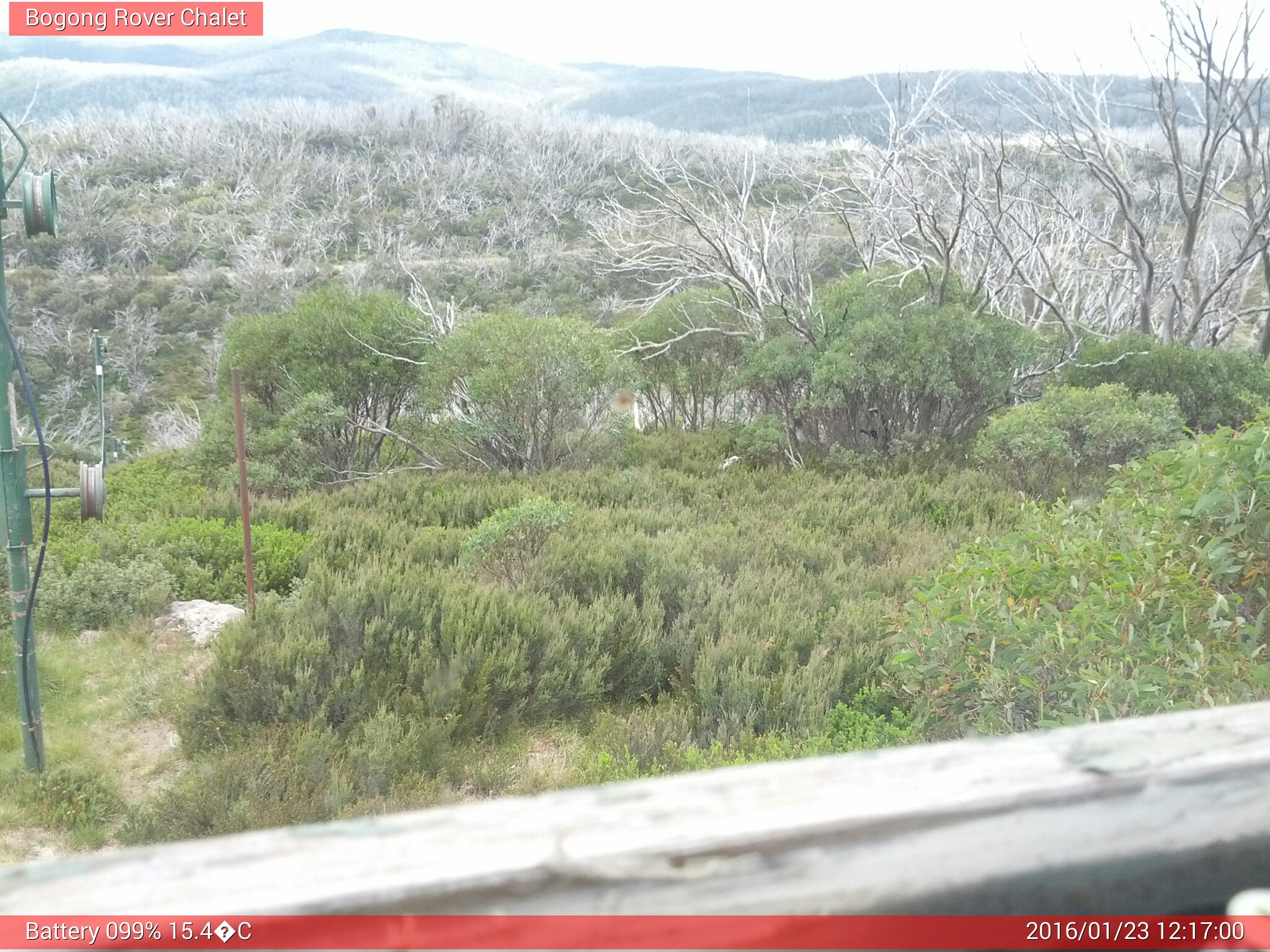 Bogong Web Cam 12:16pm Saturday 23rd of January 2016