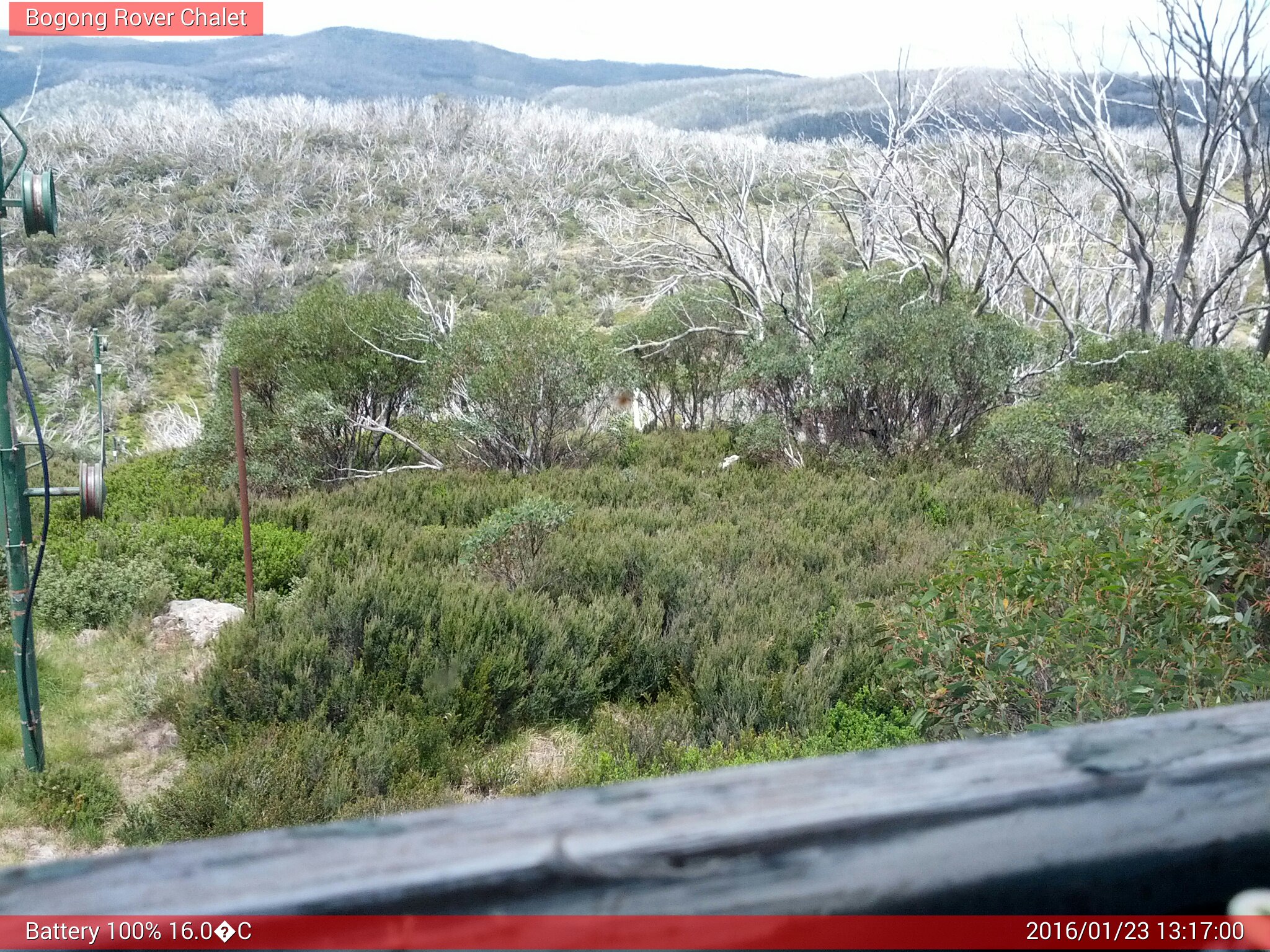 Bogong Web Cam 1:16pm Saturday 23rd of January 2016