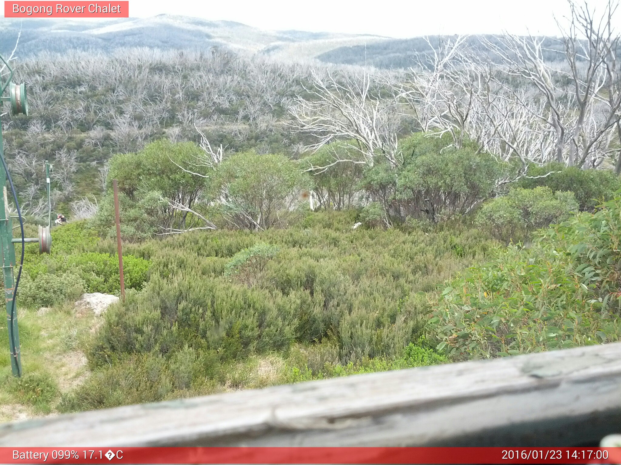 Bogong Web Cam 2:16pm Saturday 23rd of January 2016